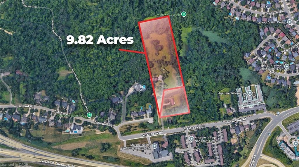 Main Property