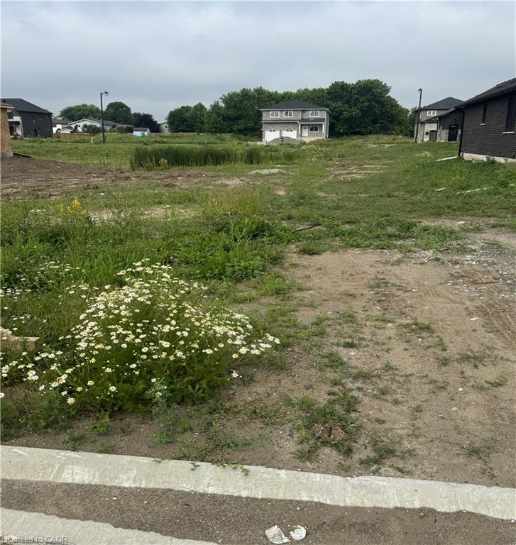 Main Property