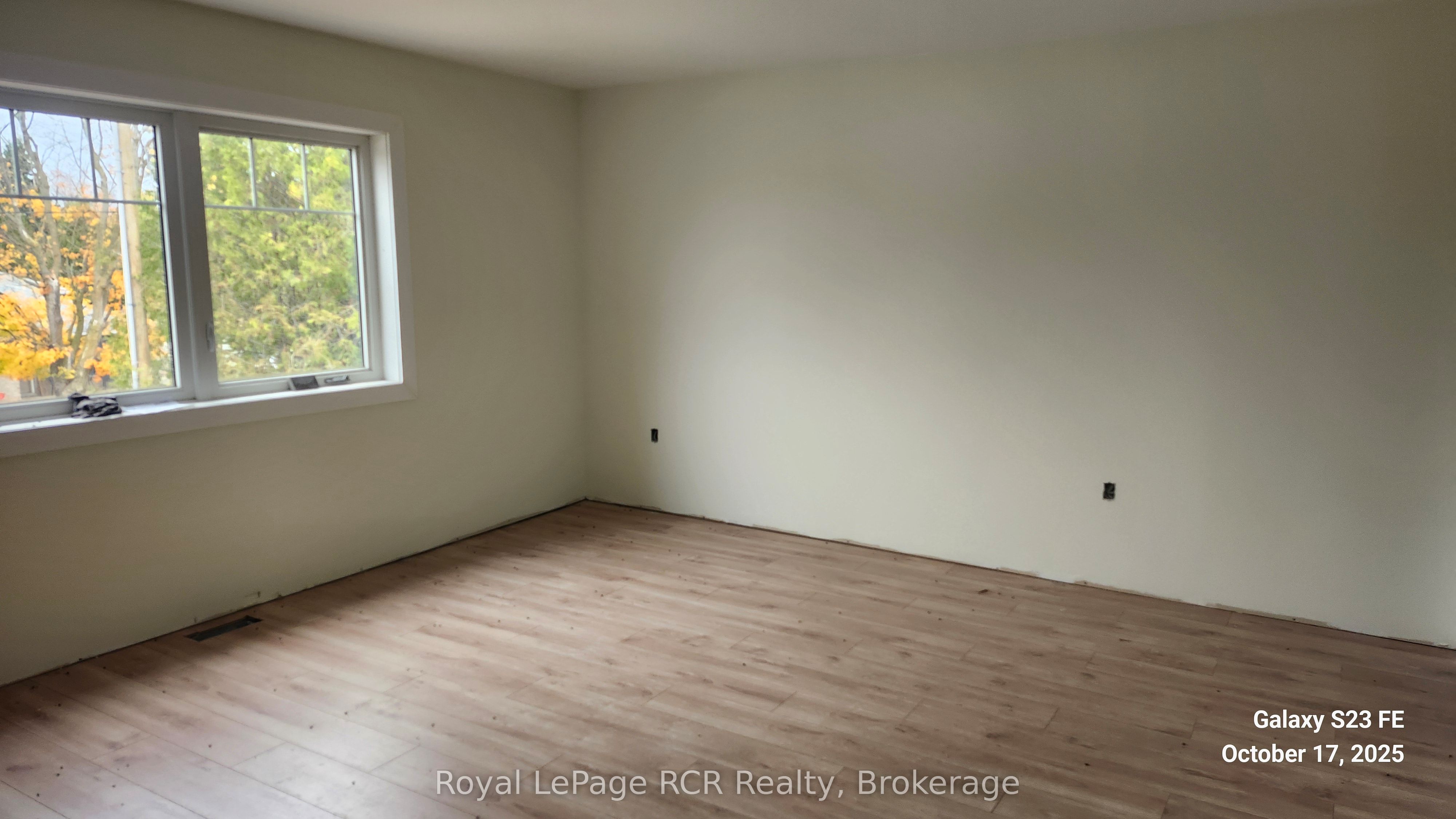 Listing 41796 Image