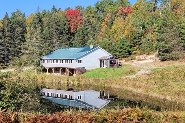 Listing 138272 Image