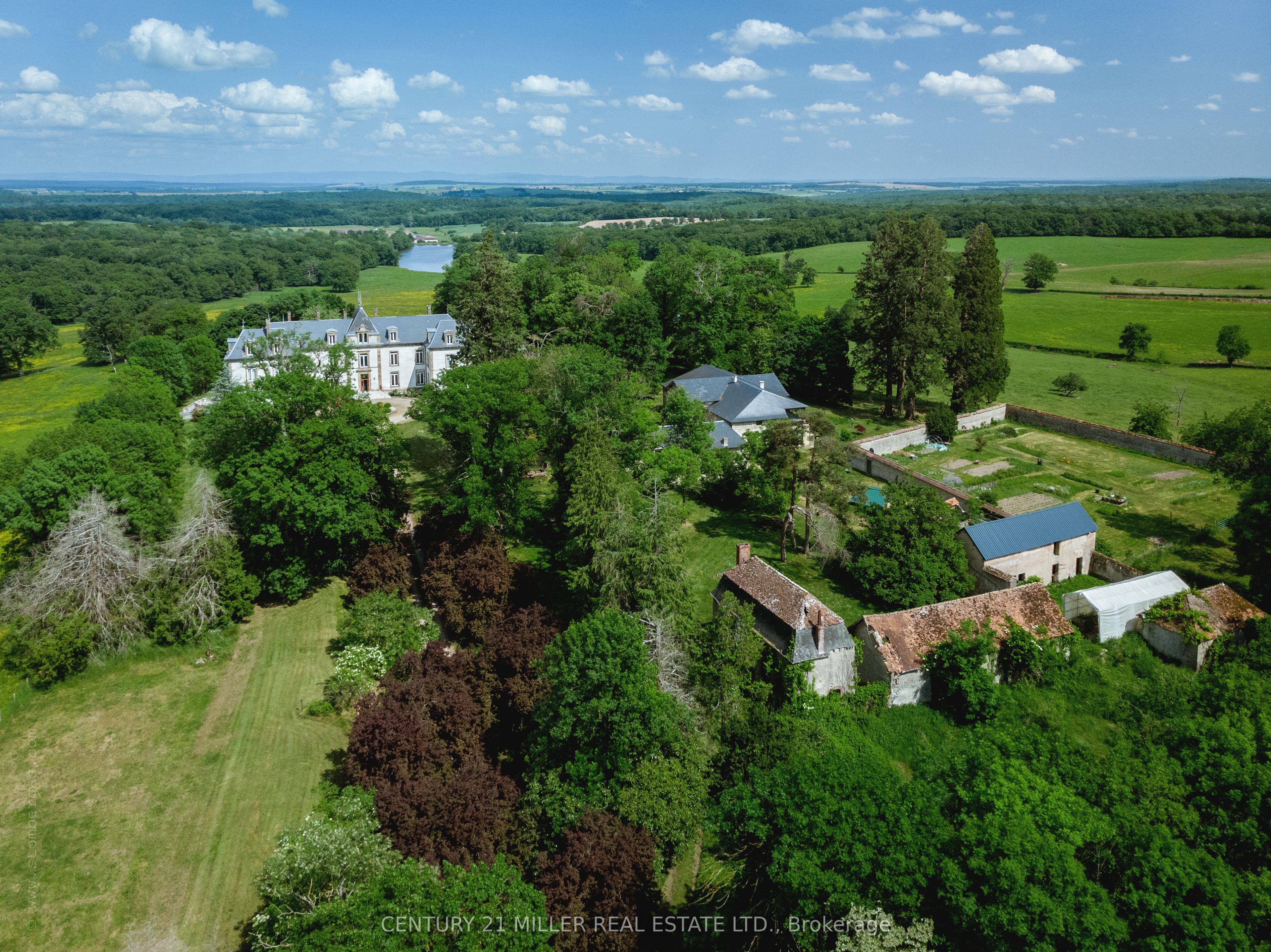 Main Property