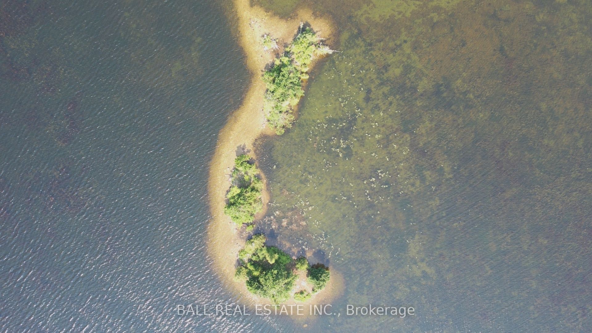 Listing 194666 Image