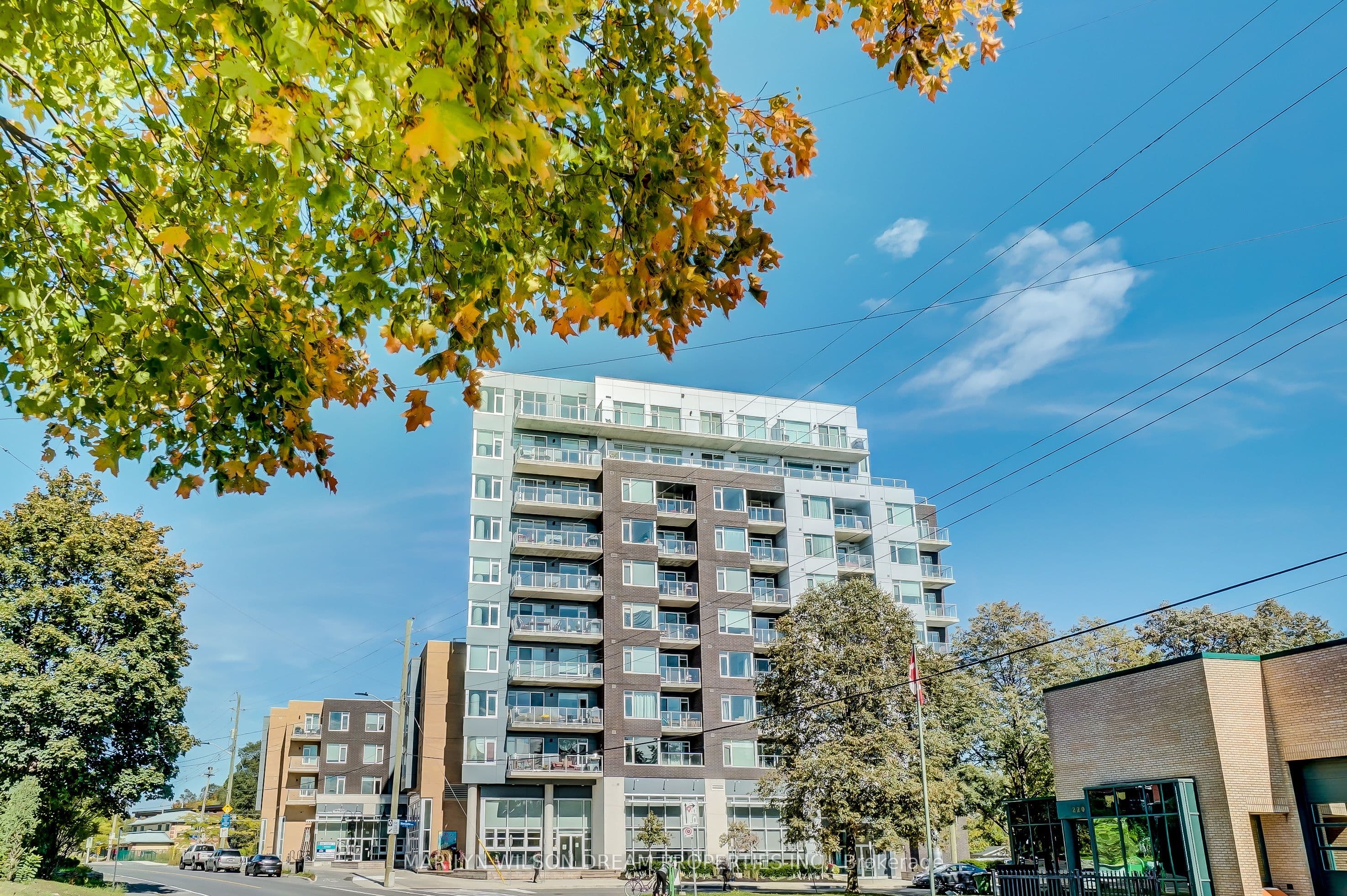 Main Property
