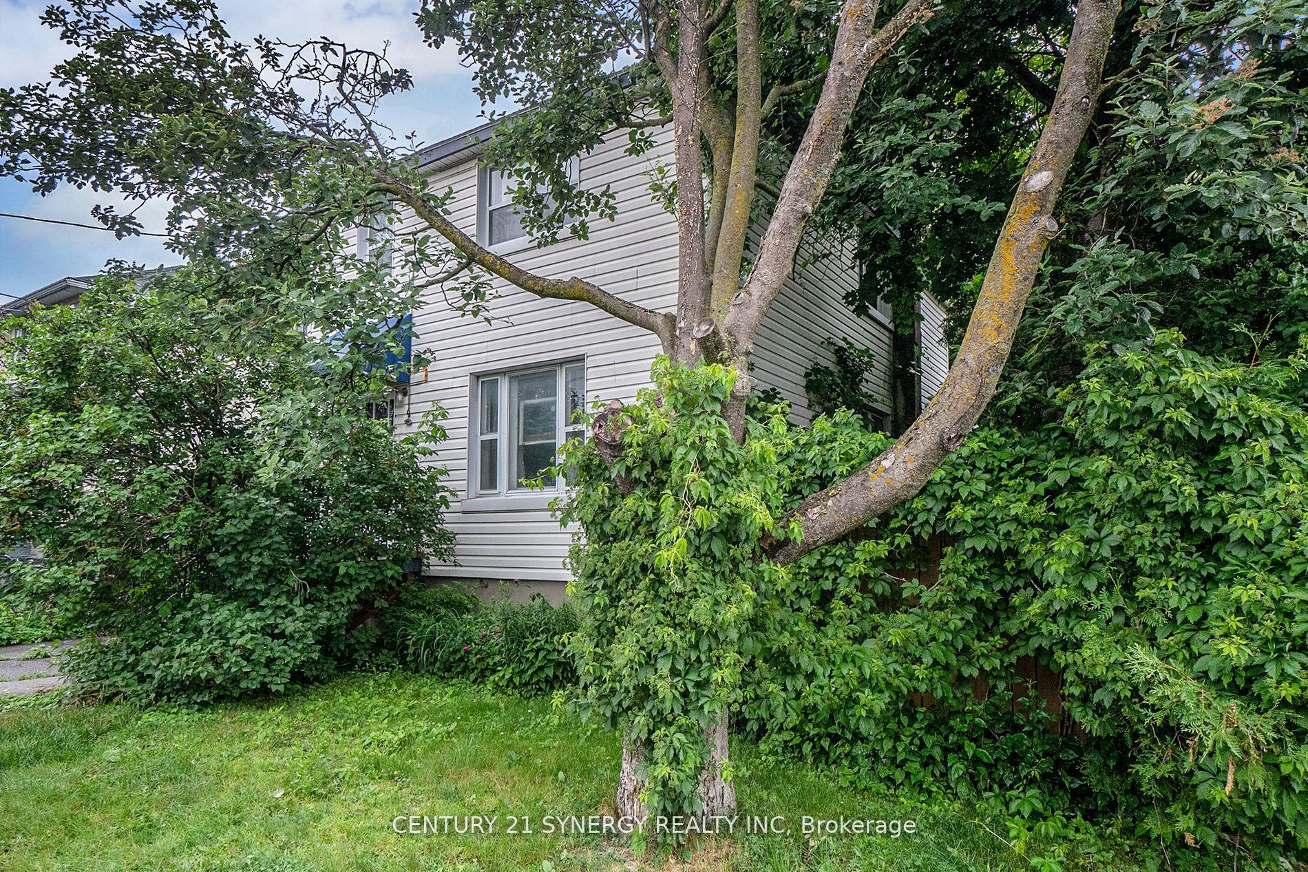 Main Property