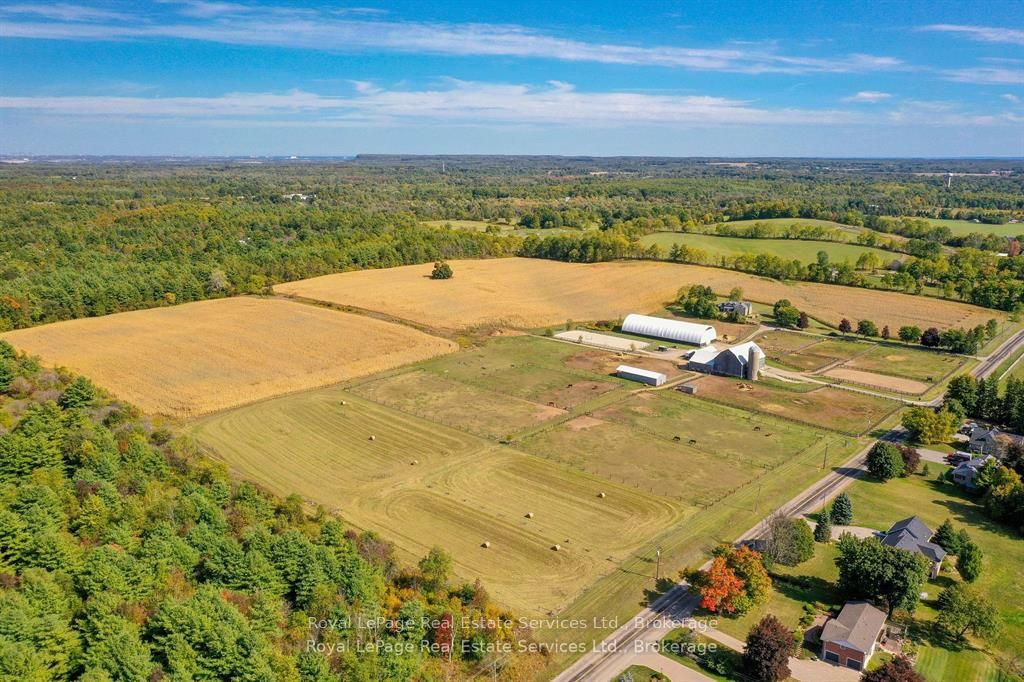 Listing 50187 Image