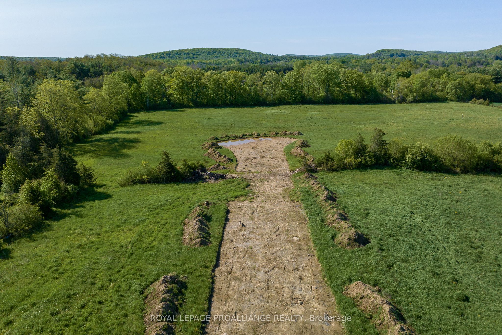 Listing 134761 Image