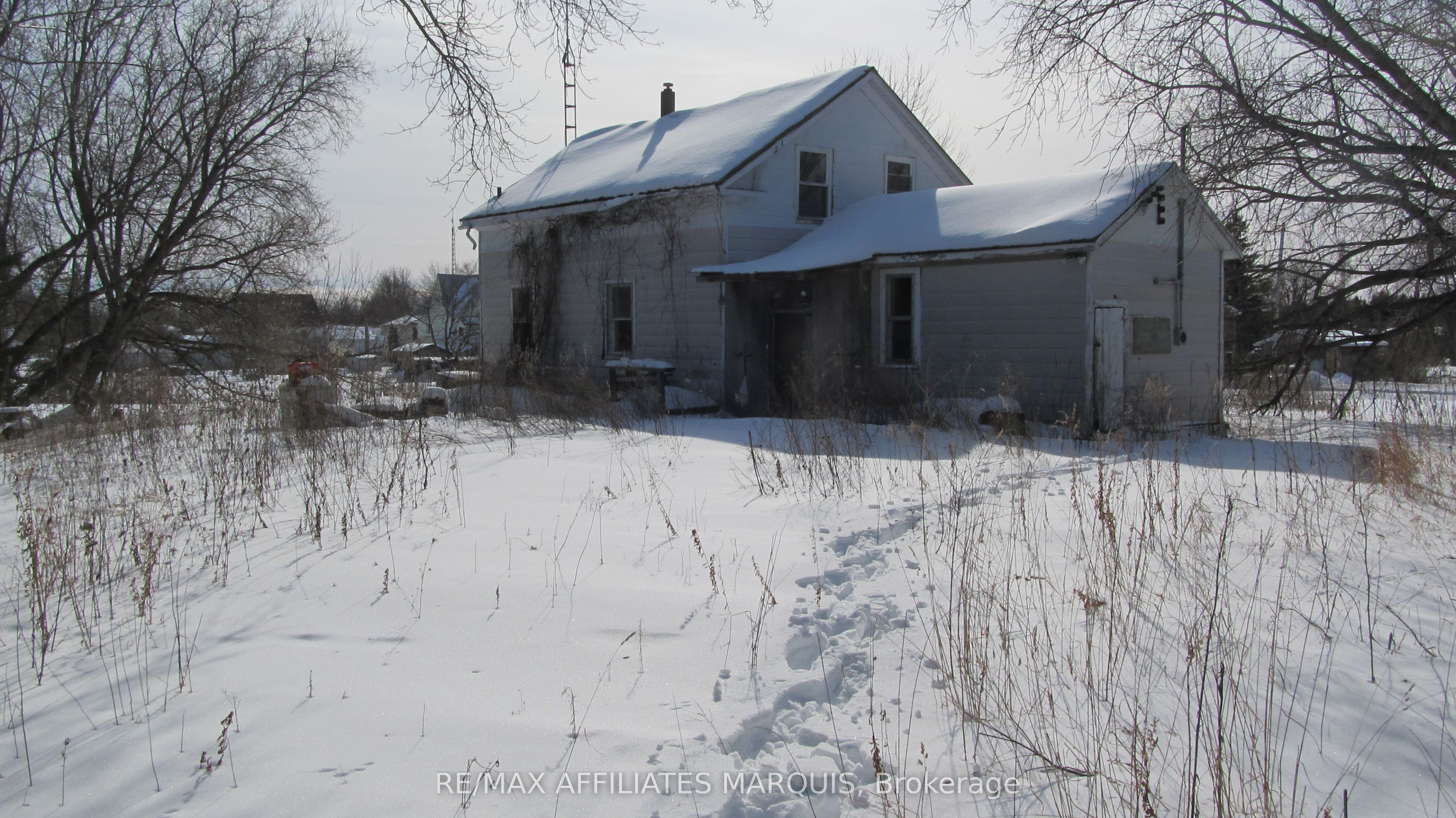 Listing 238445 Image
