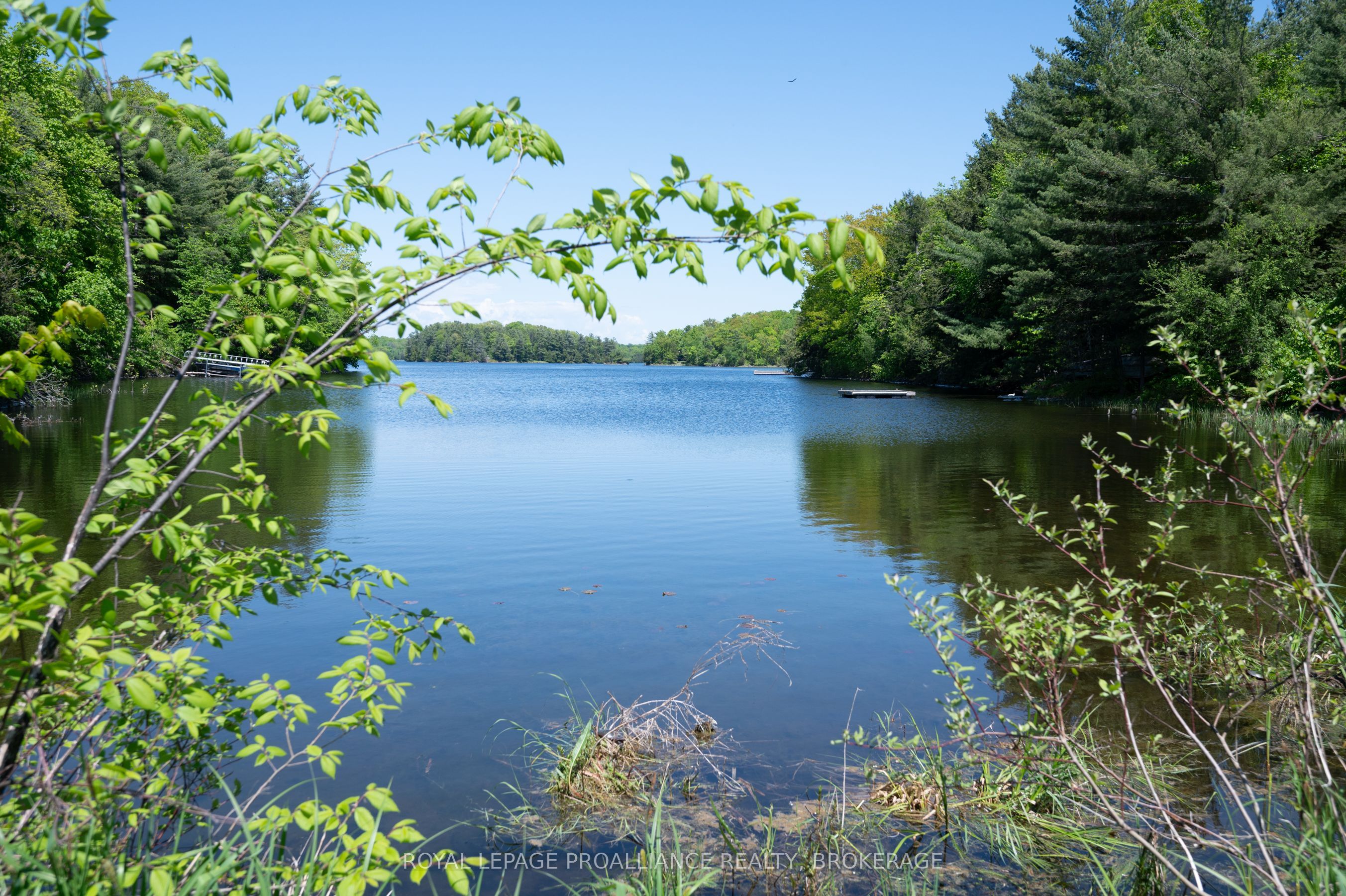 Listing 148833 Image