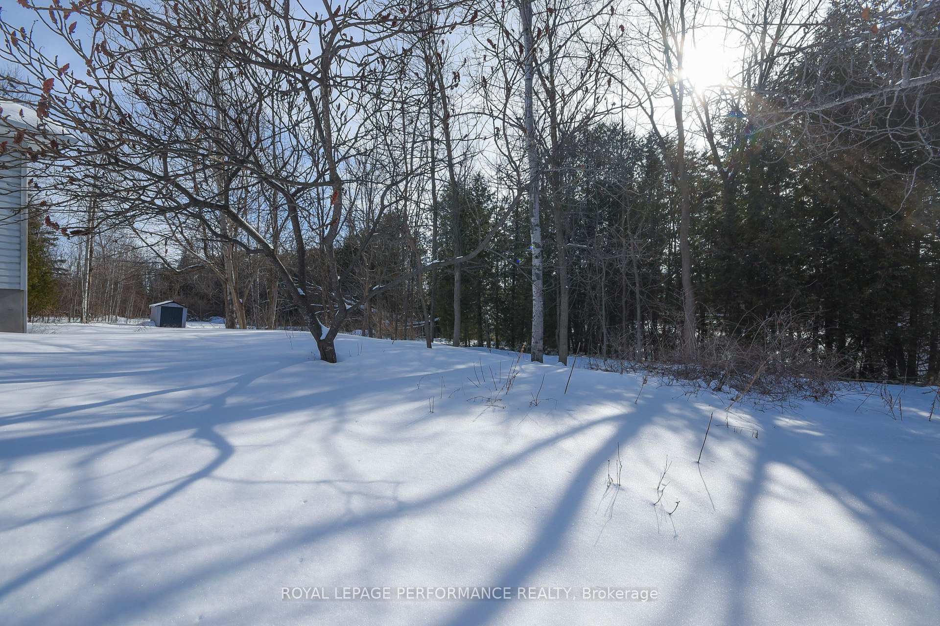 Listing 100273 Image