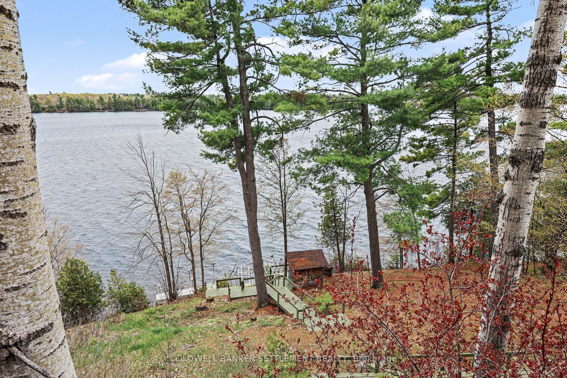 Listing 168248 Image