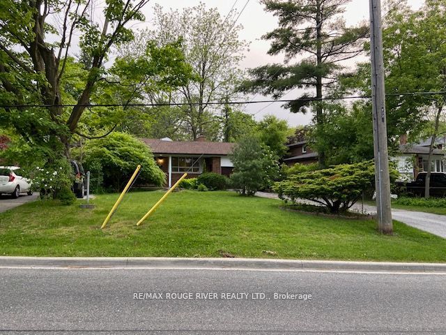 Listing 53517 Image