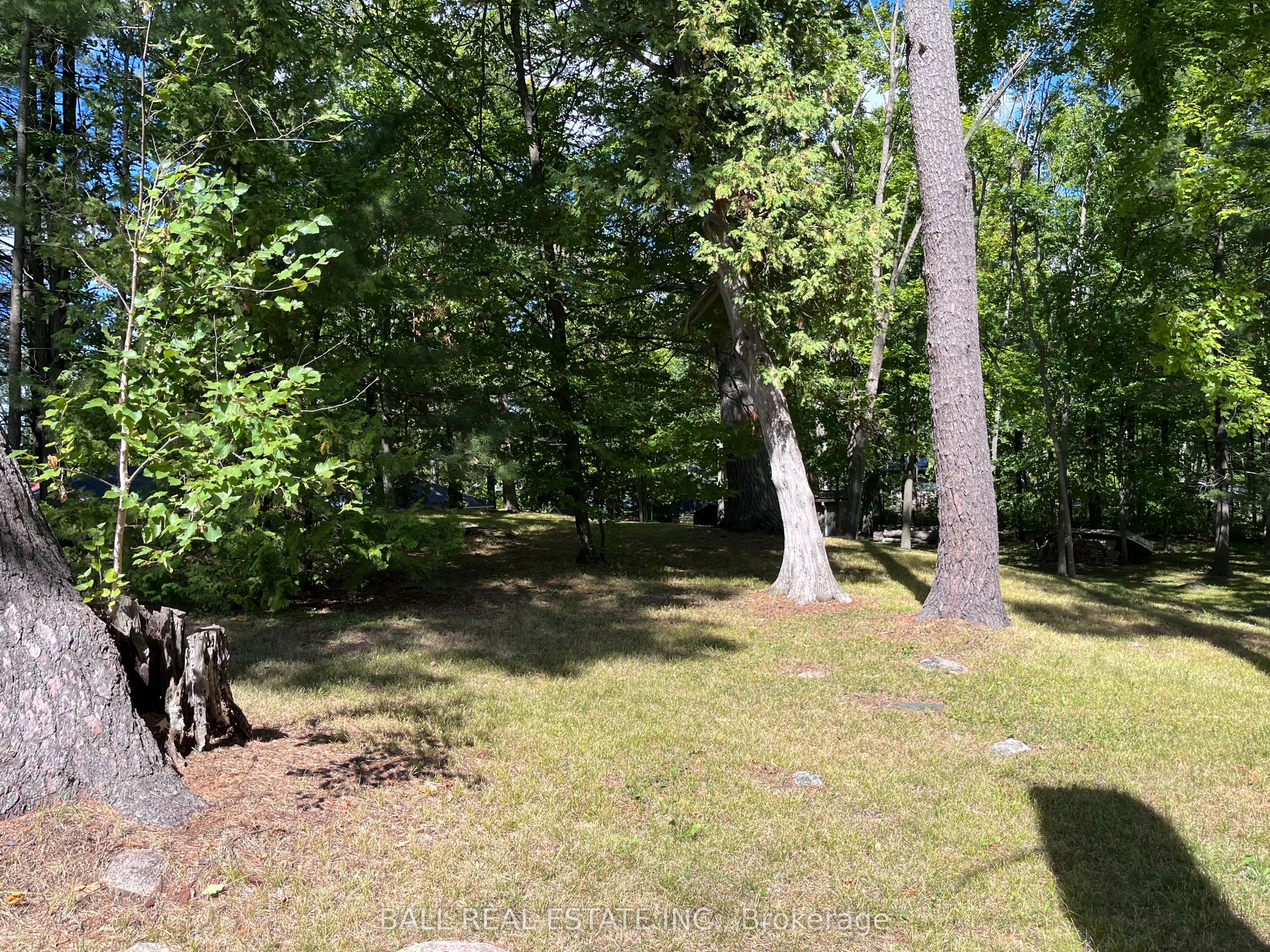 Listing 59867 Image