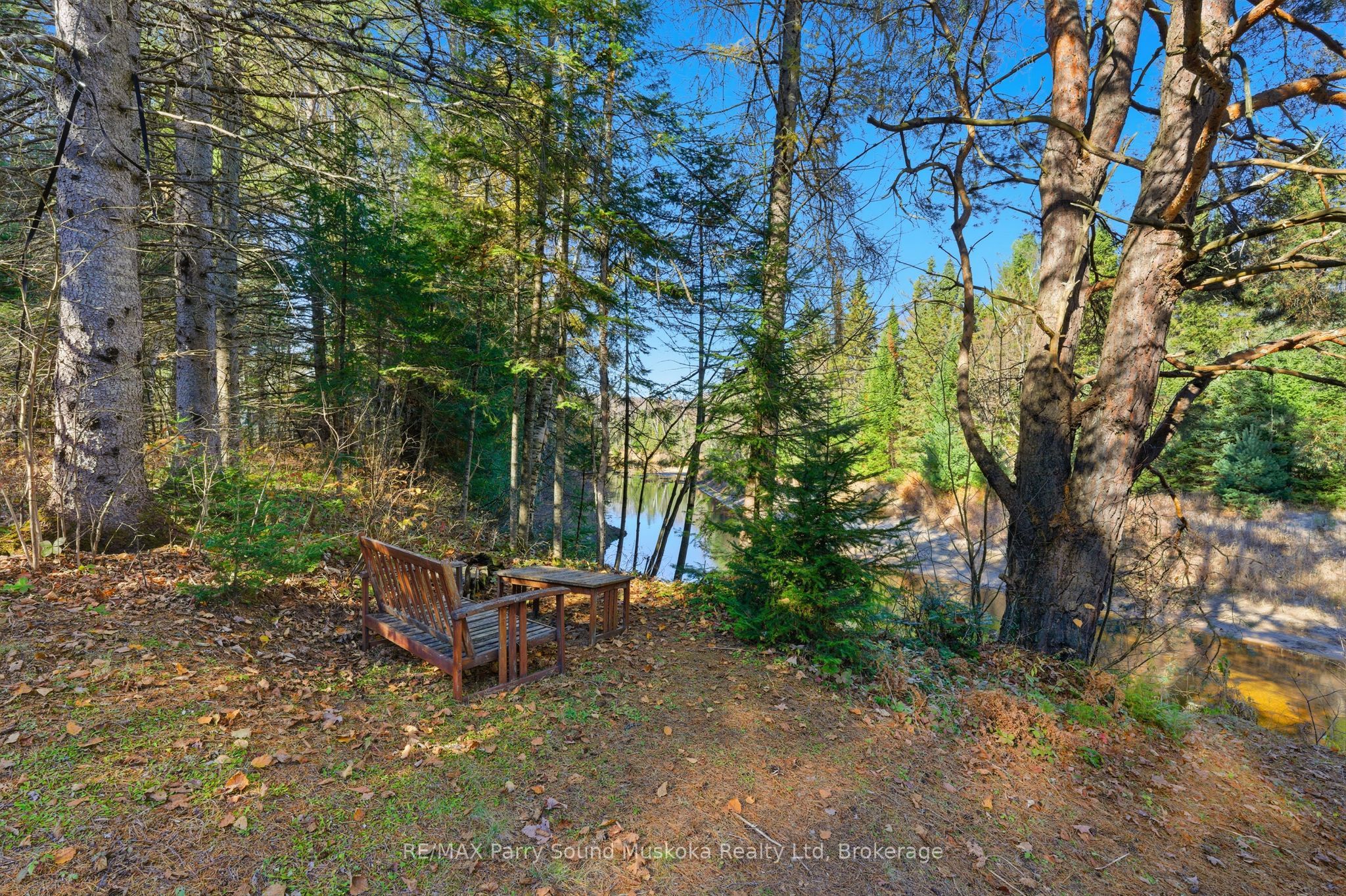 Main Property