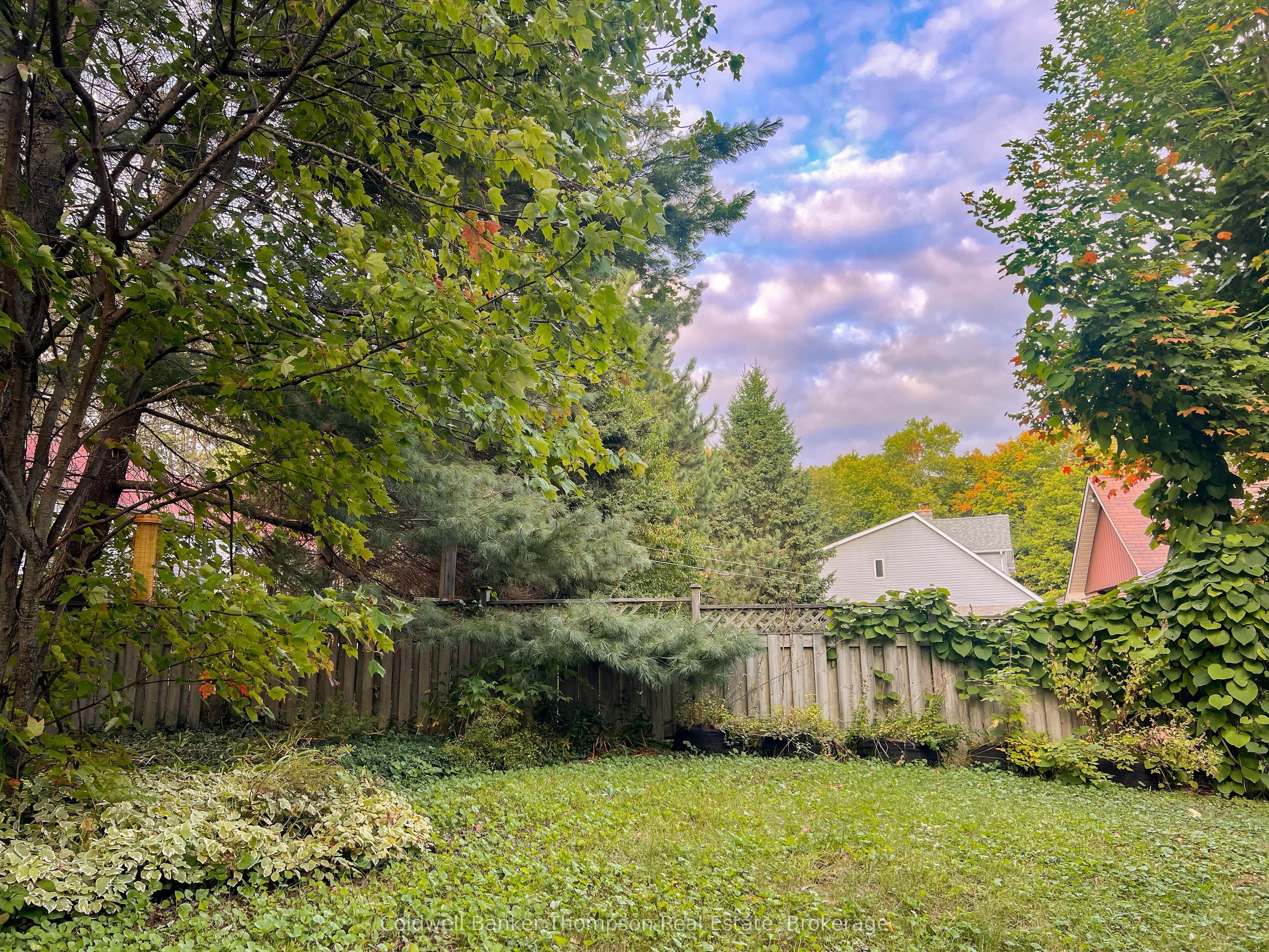 Listing 61821 Image