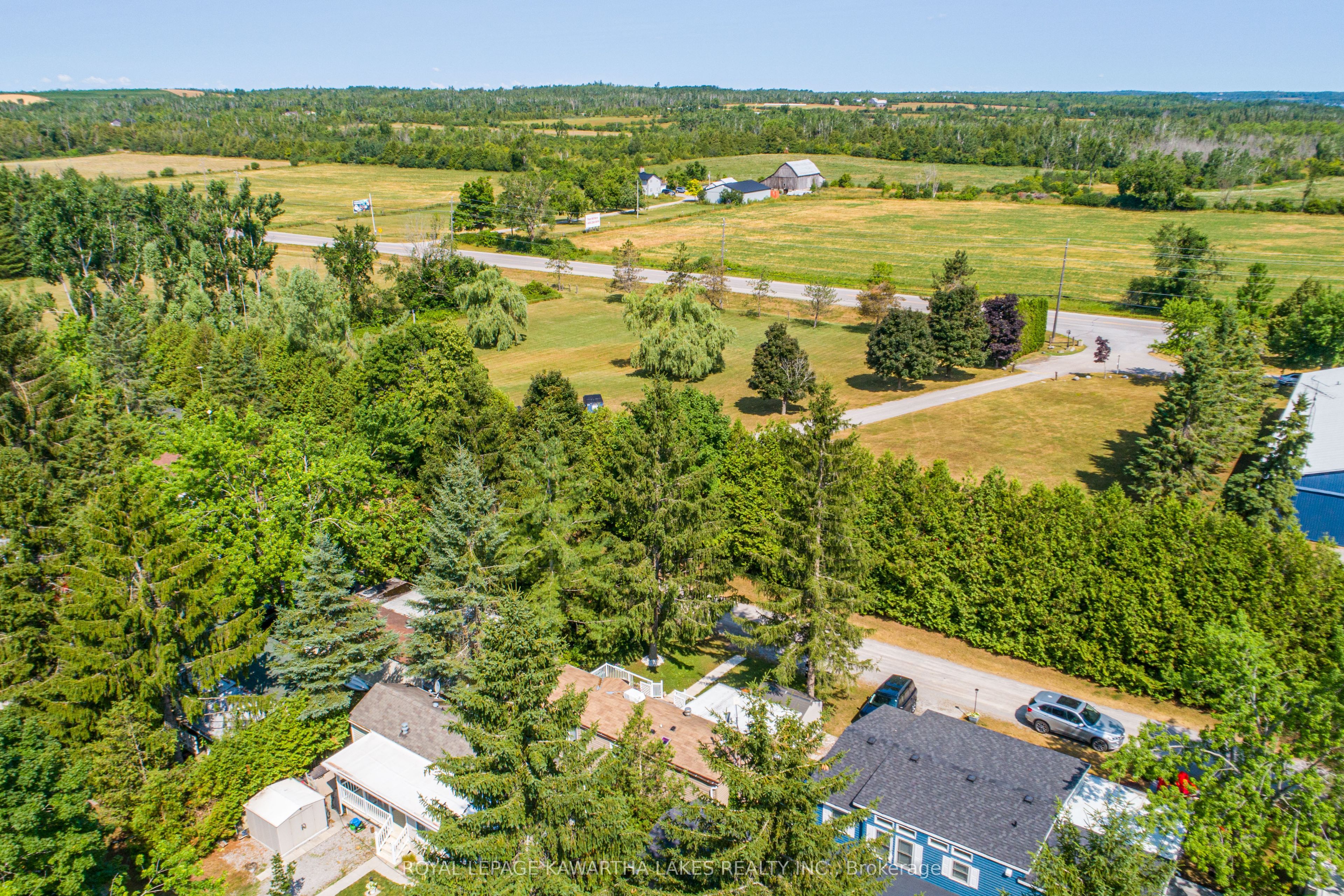 Listing 145294 Image