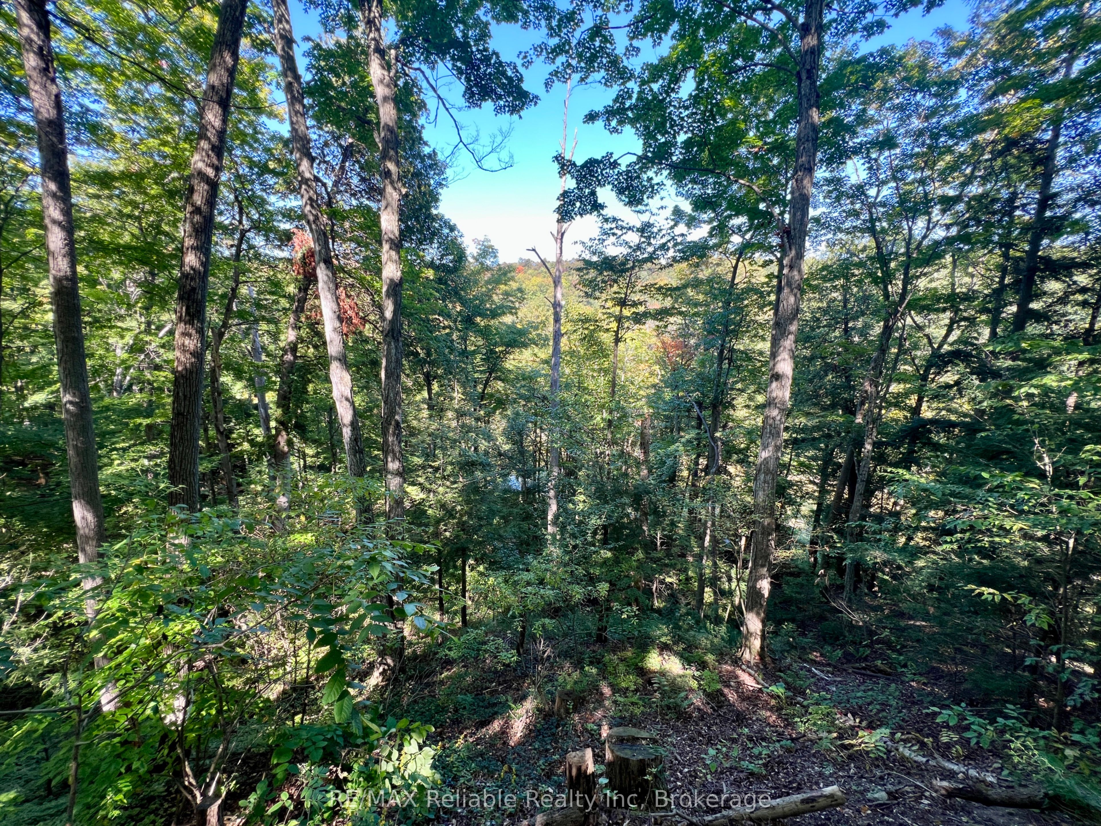 Listing 58858 Image