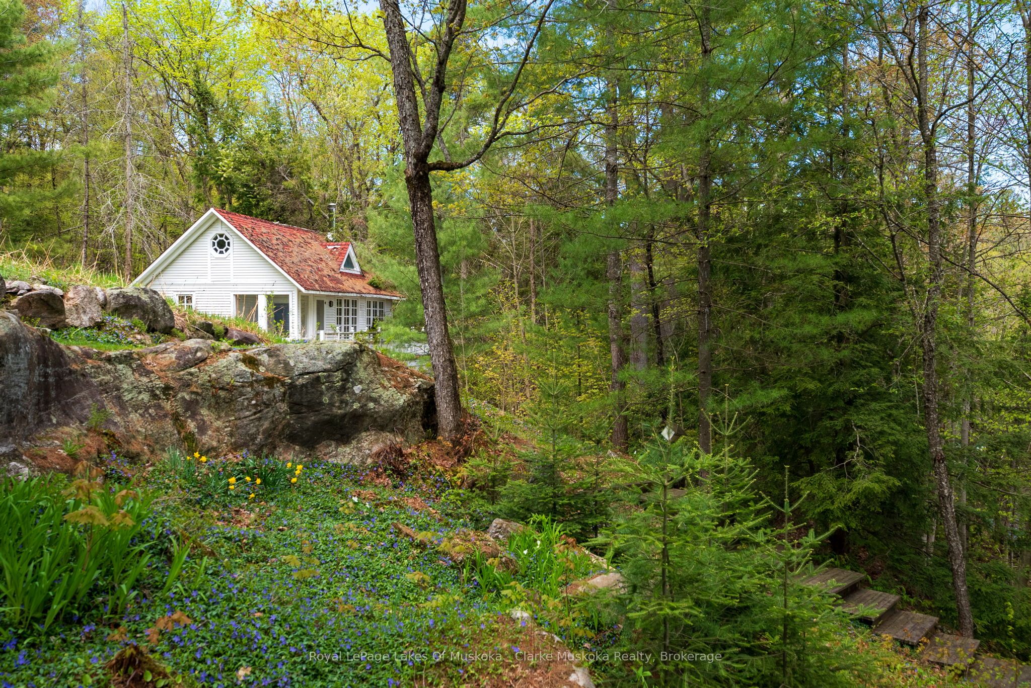 Main Property