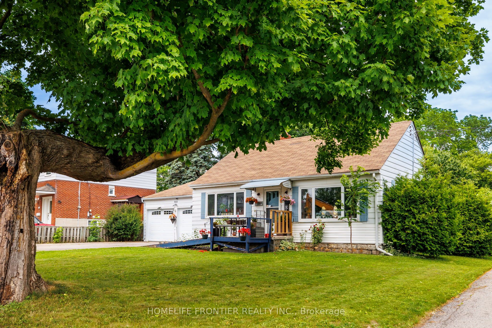 Listing 244259 Image