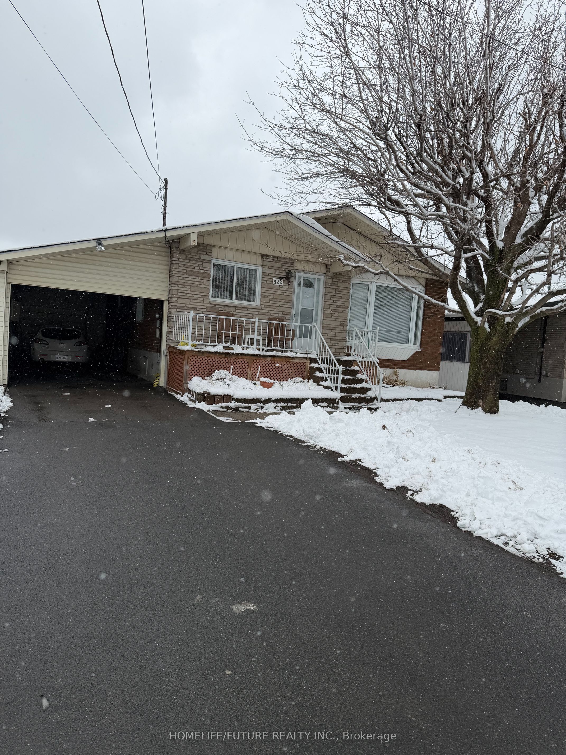 Listing 130348 Image