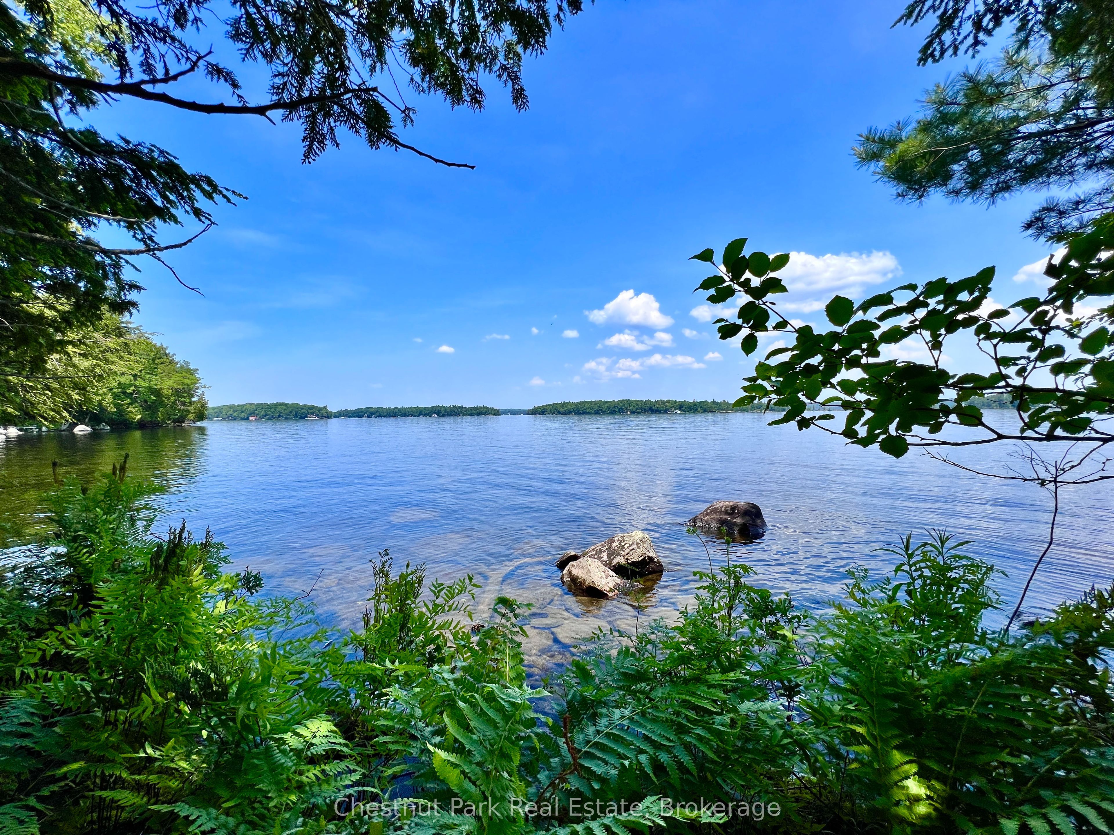 Listing 40979 Image