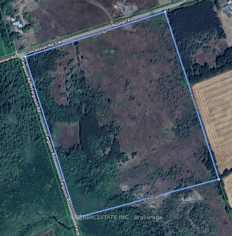 Listing 241755 Image