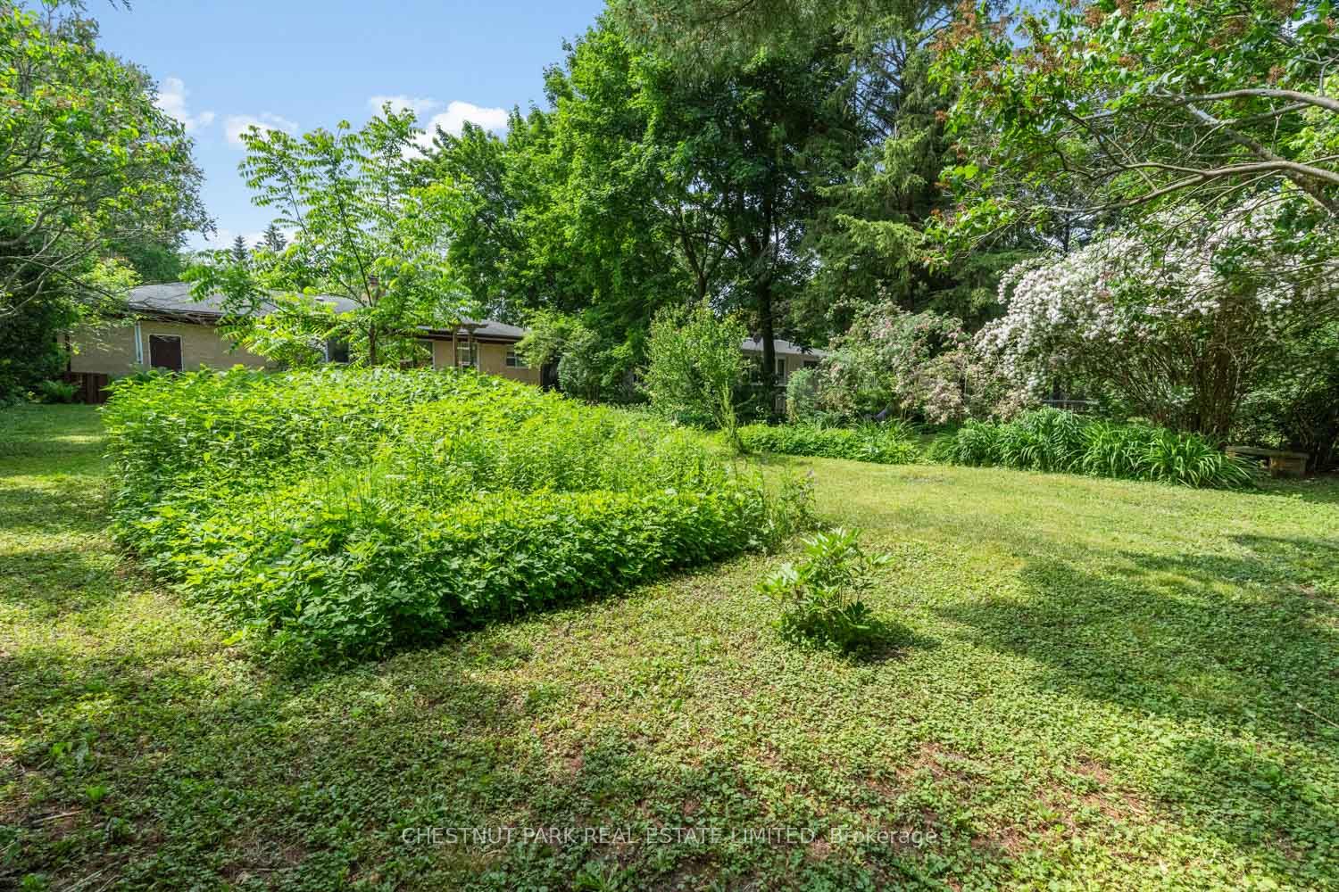 Listing 134155 Image