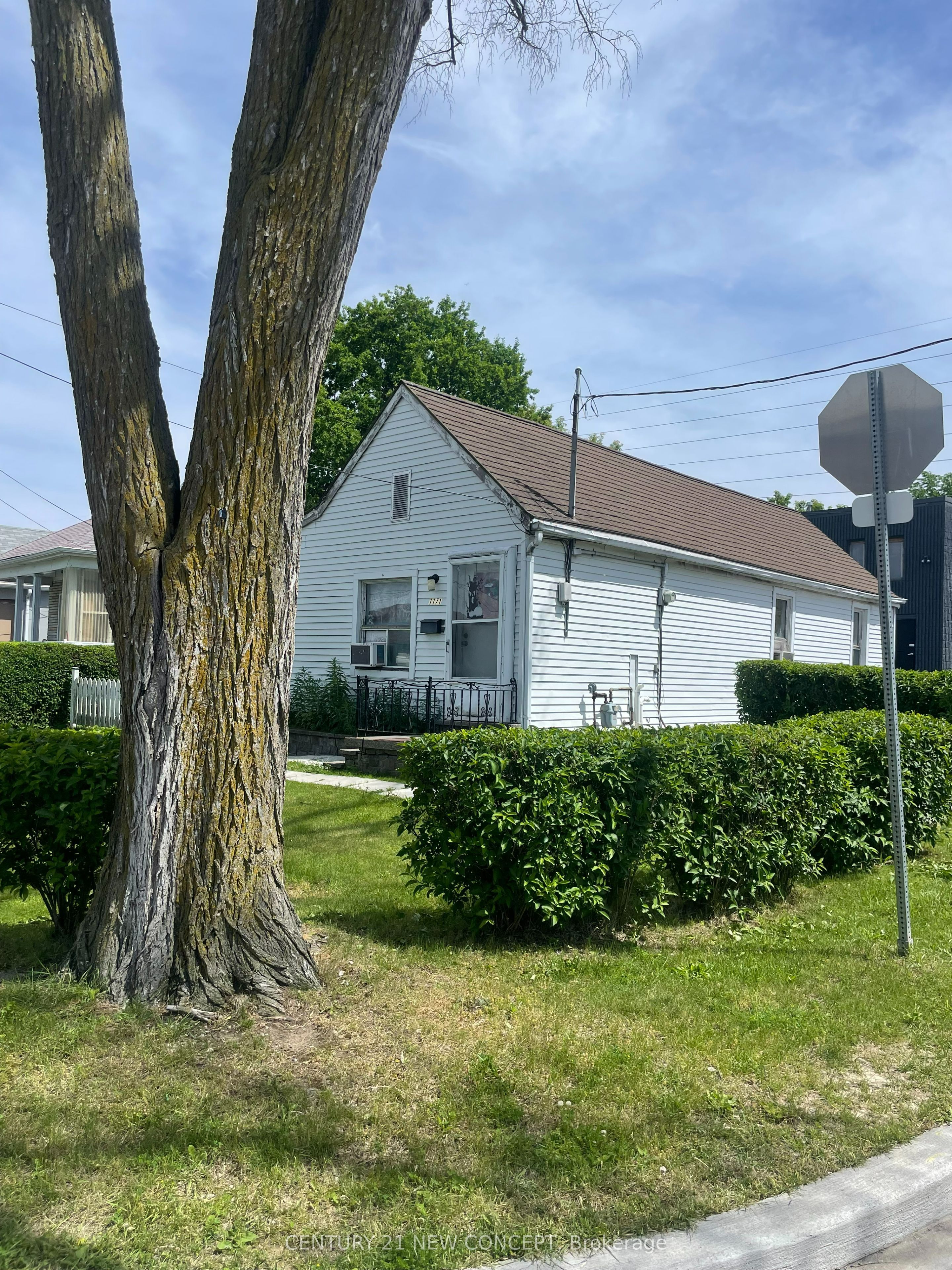 Listing 199449 Image