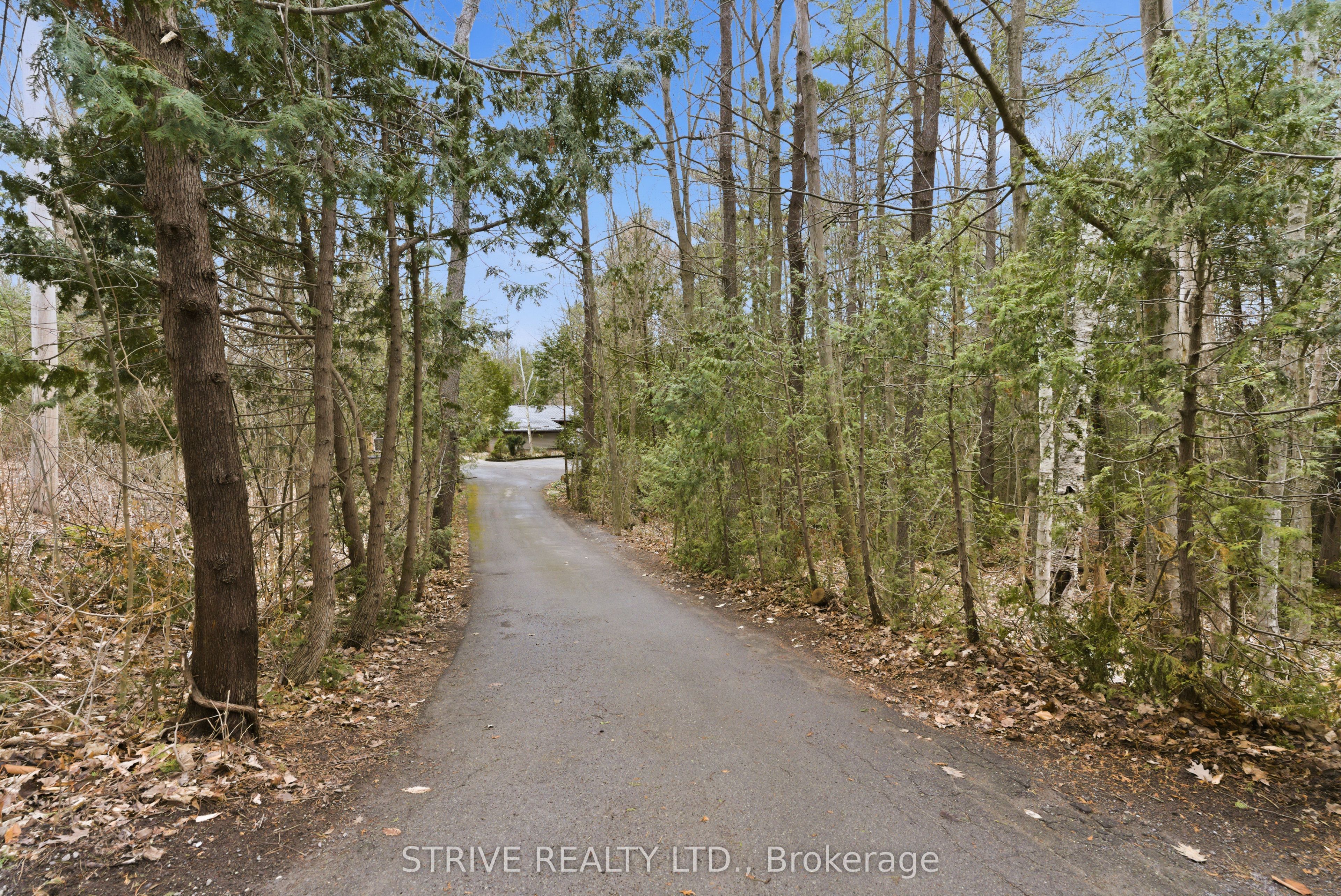Listing 87511 Image
