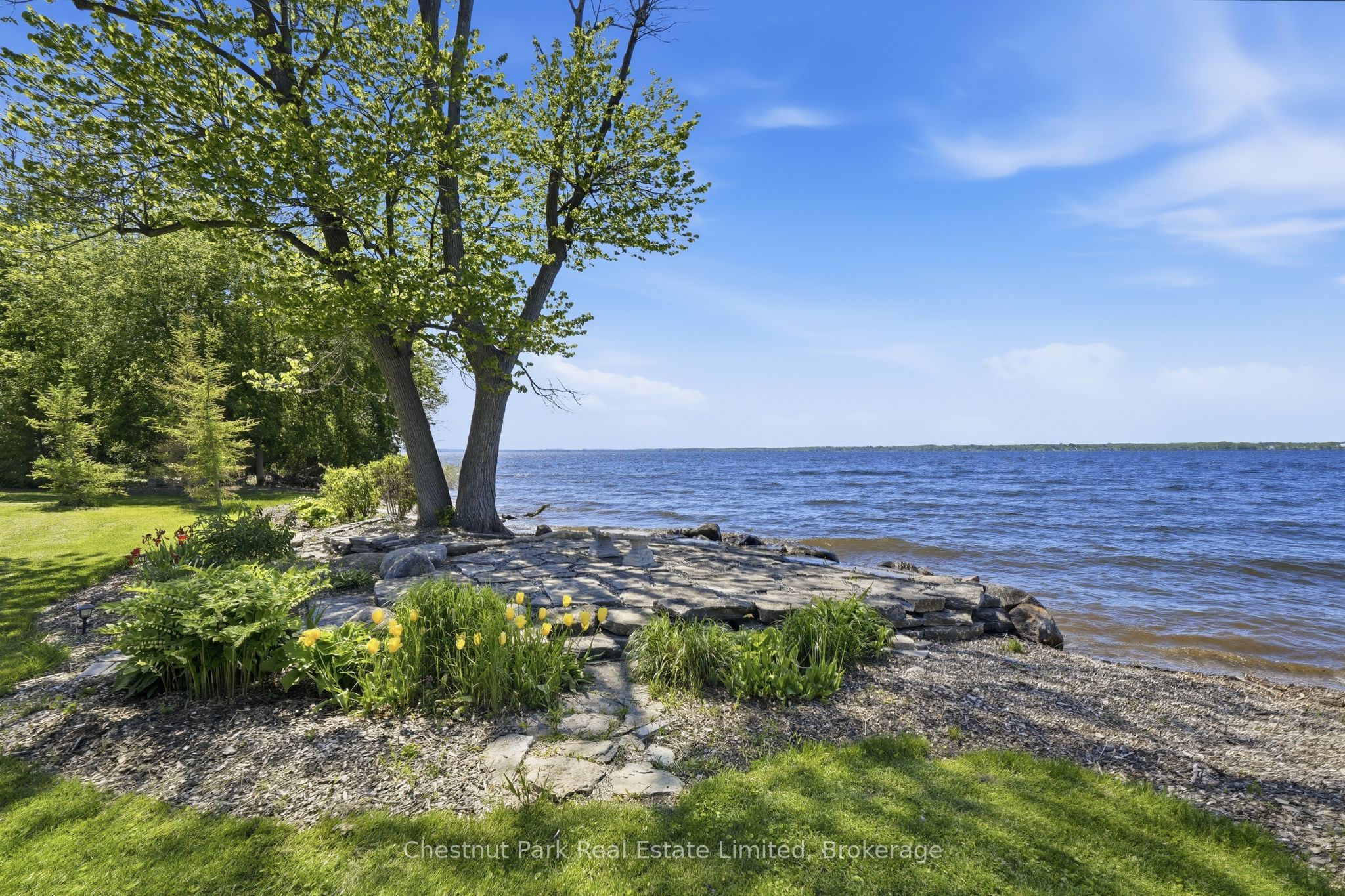 Listing 43358 Image
