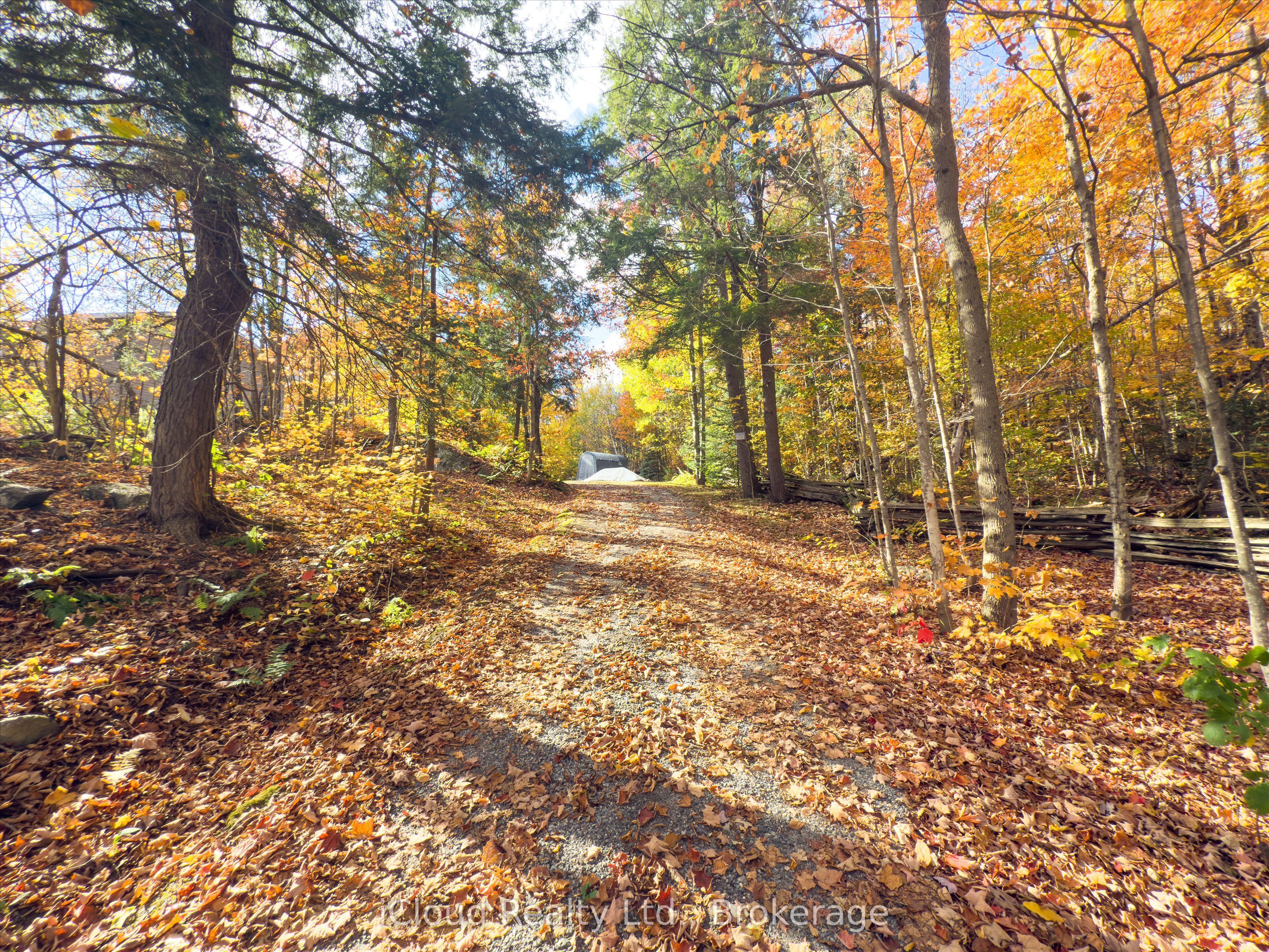 Listing 59415 Image