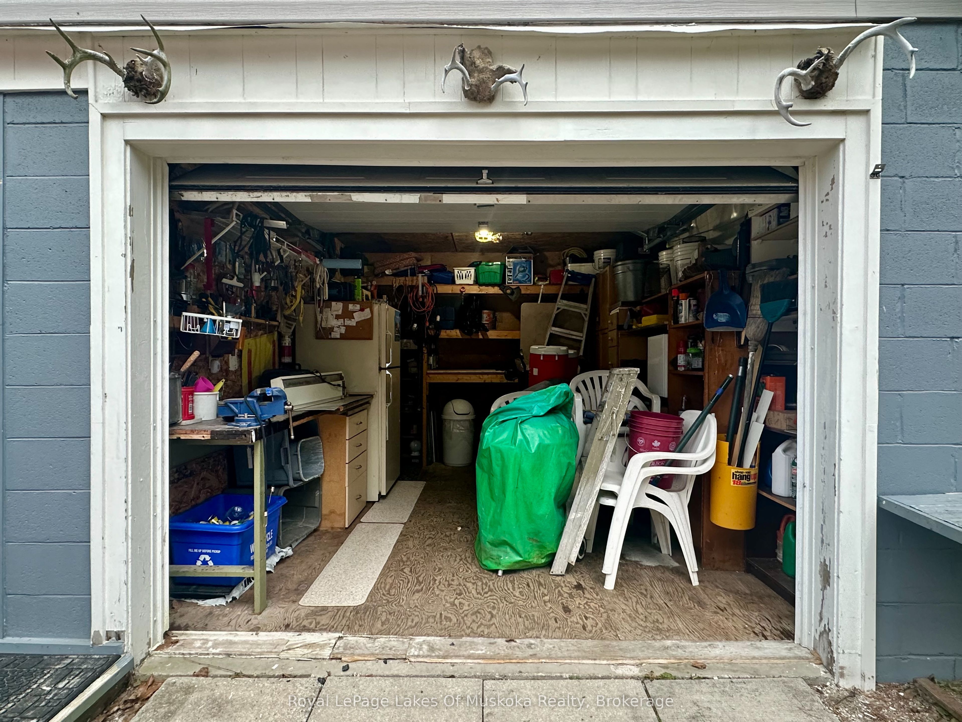 Listing 269532 Image