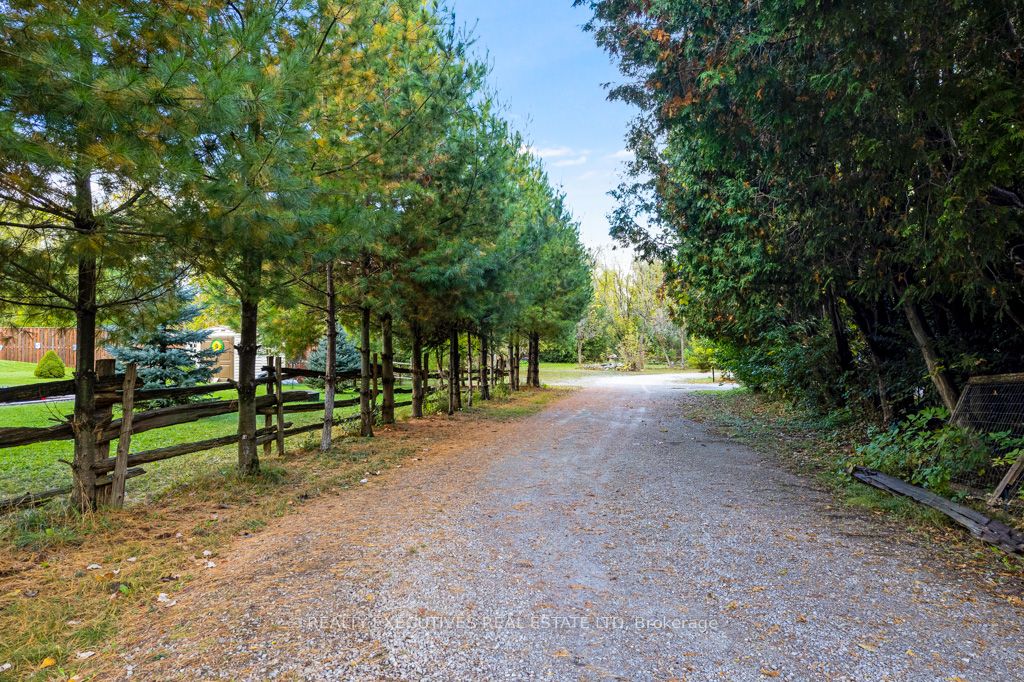 Listing 138967 Image