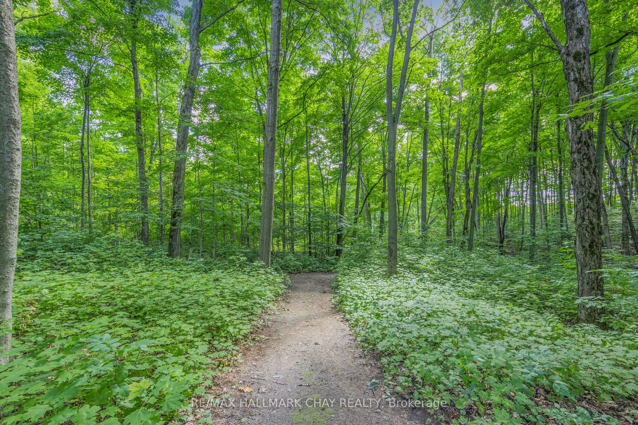 Listing 63212 Image