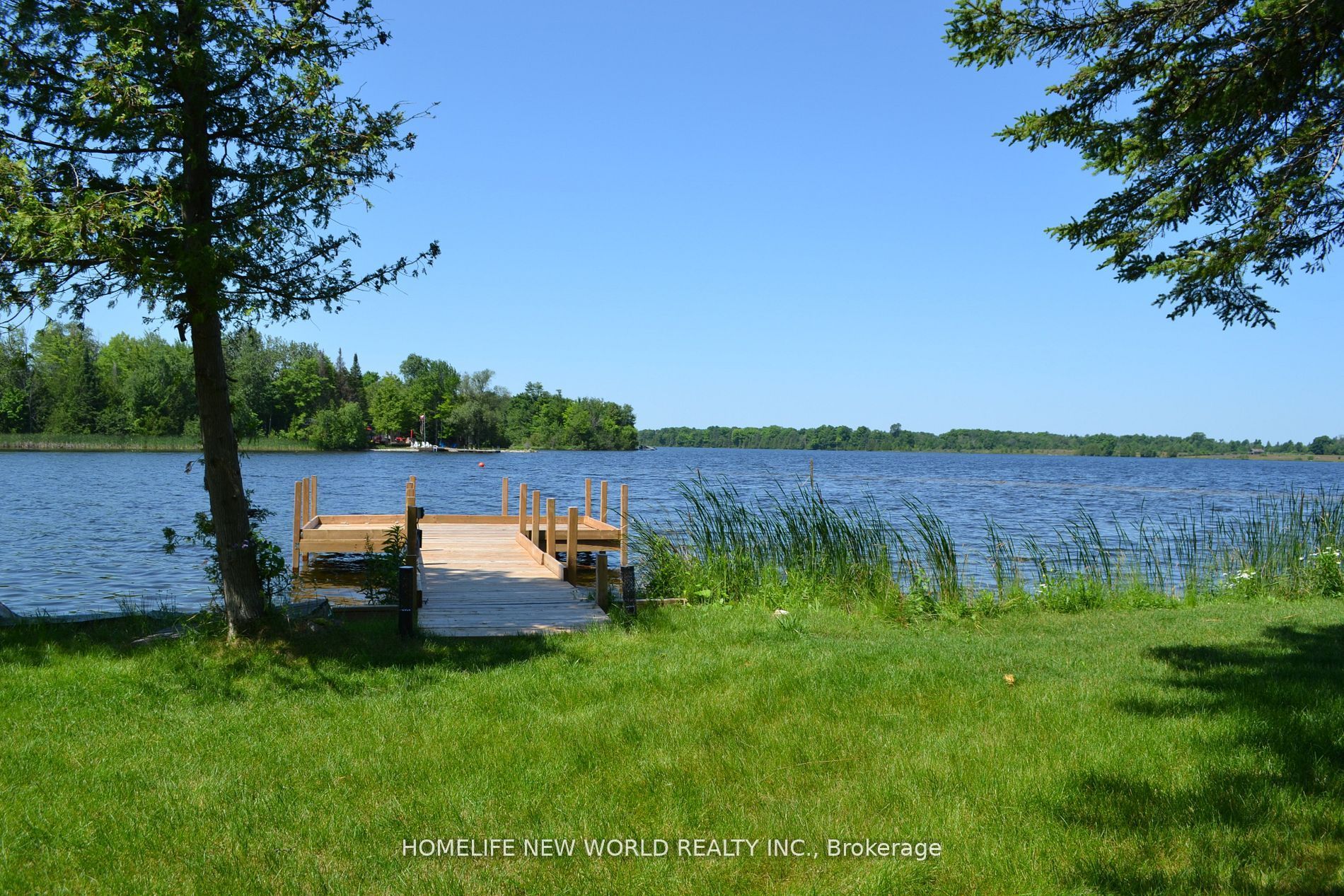 Listing 214021 Image