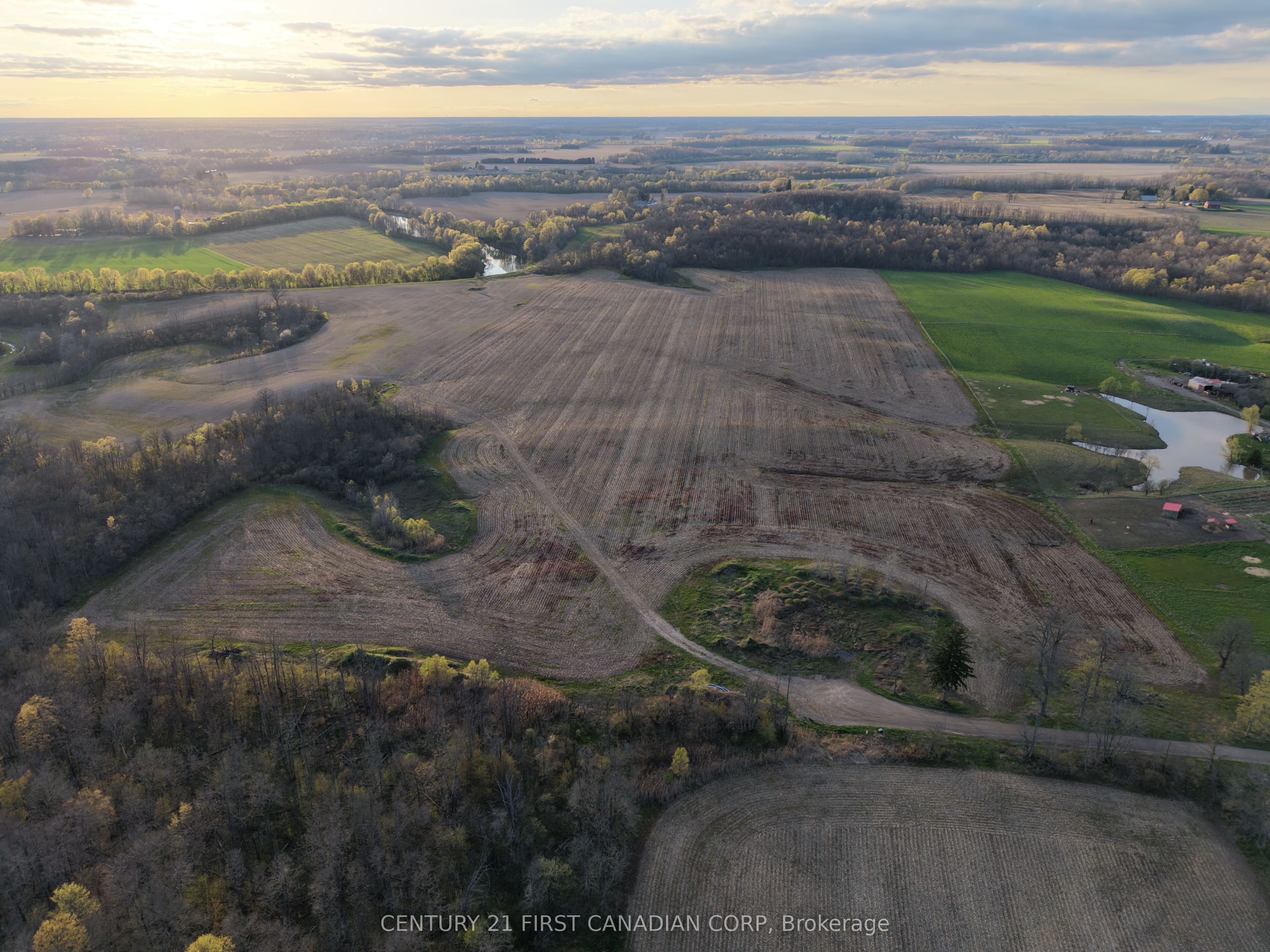 Listing 156284 Image