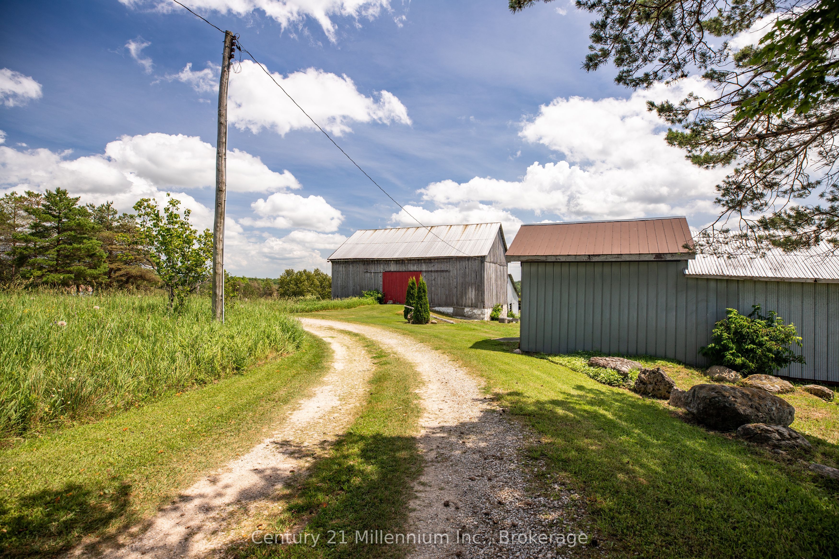 Main Property