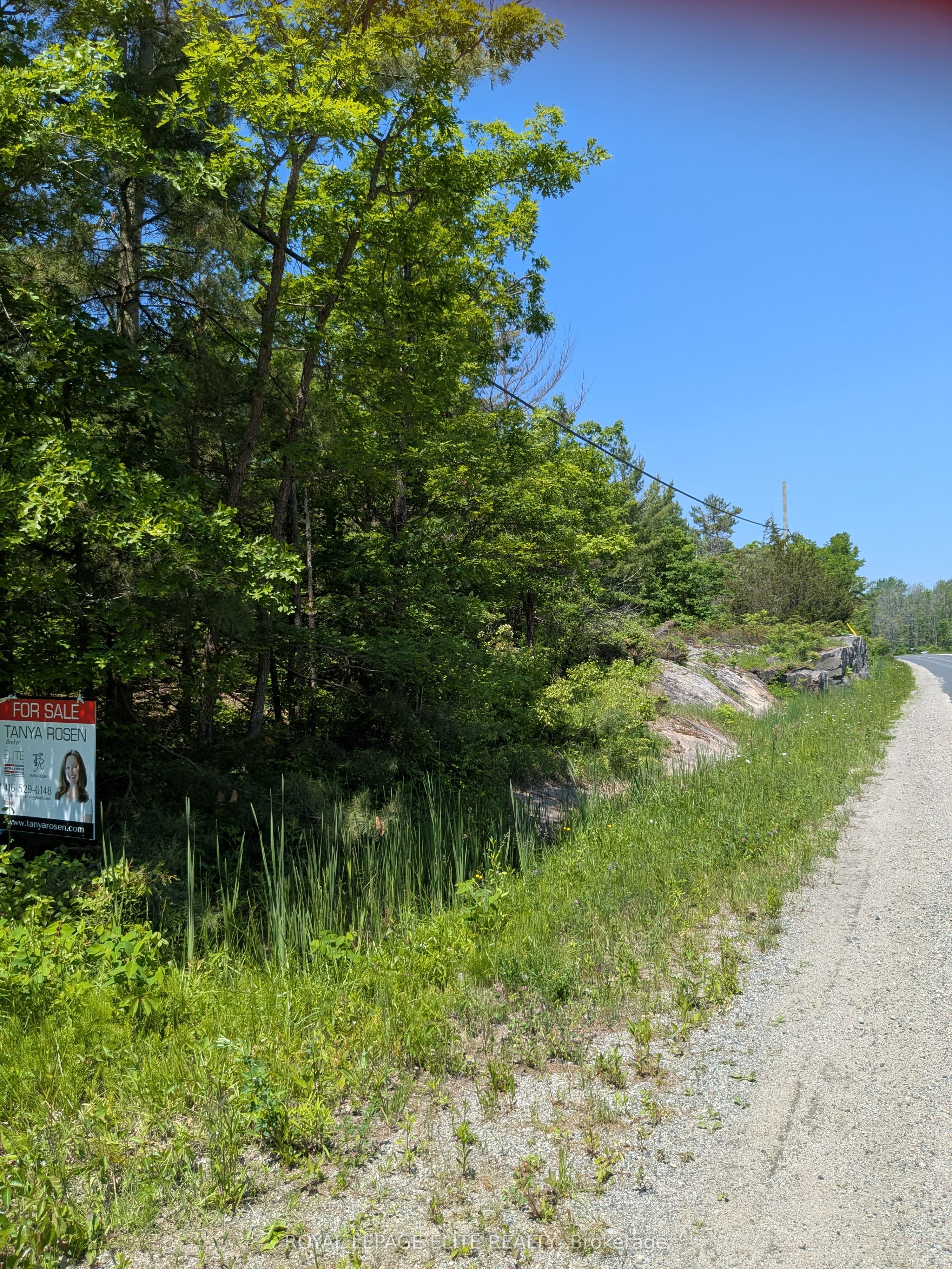 Listing 185224 Image