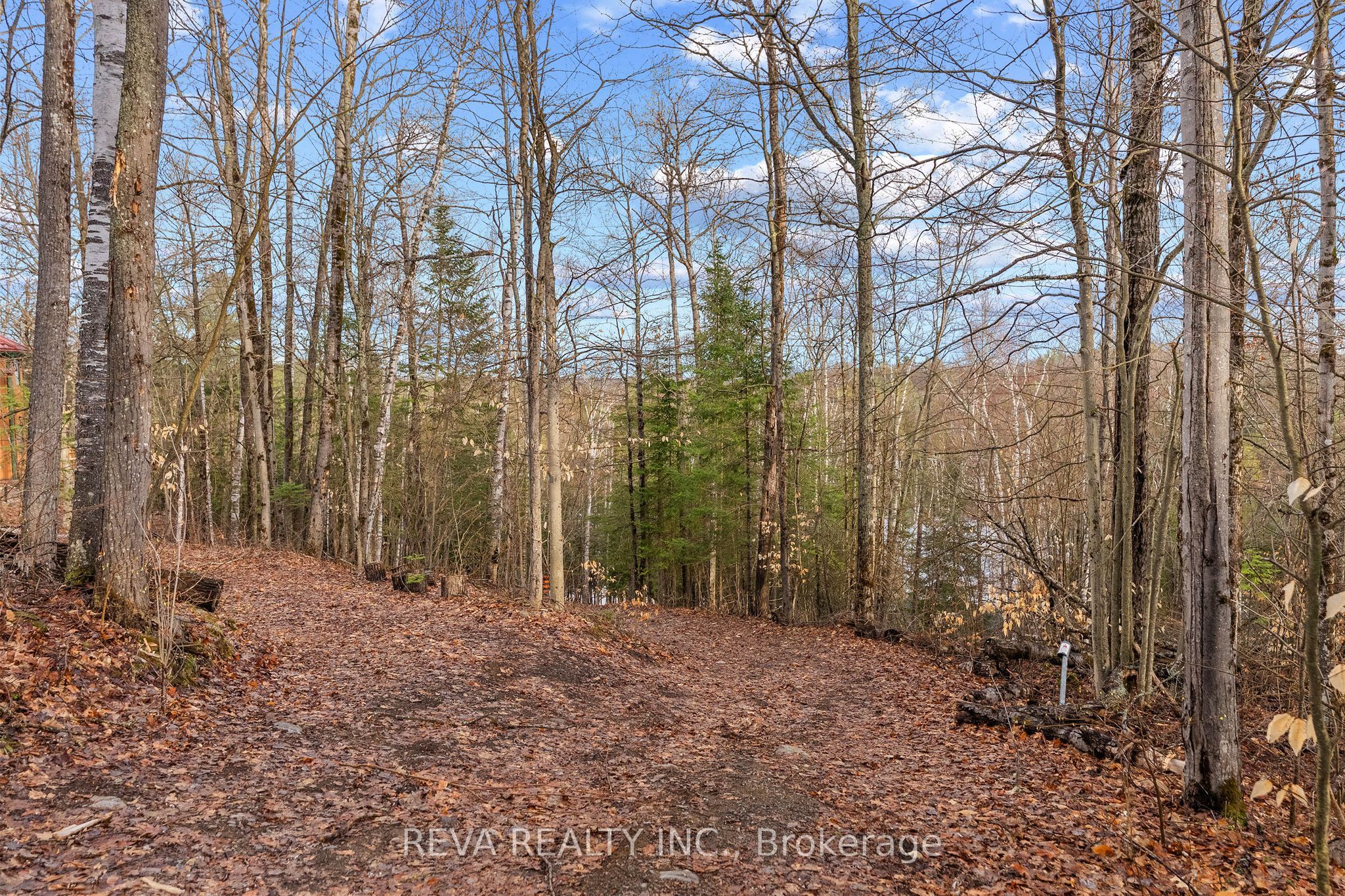 Listing 168089 Image