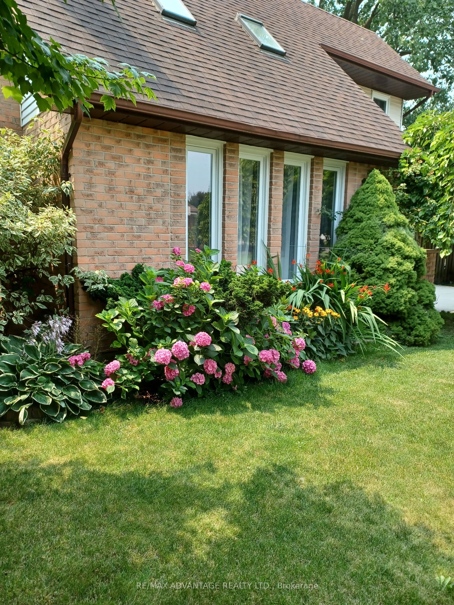 Main Property