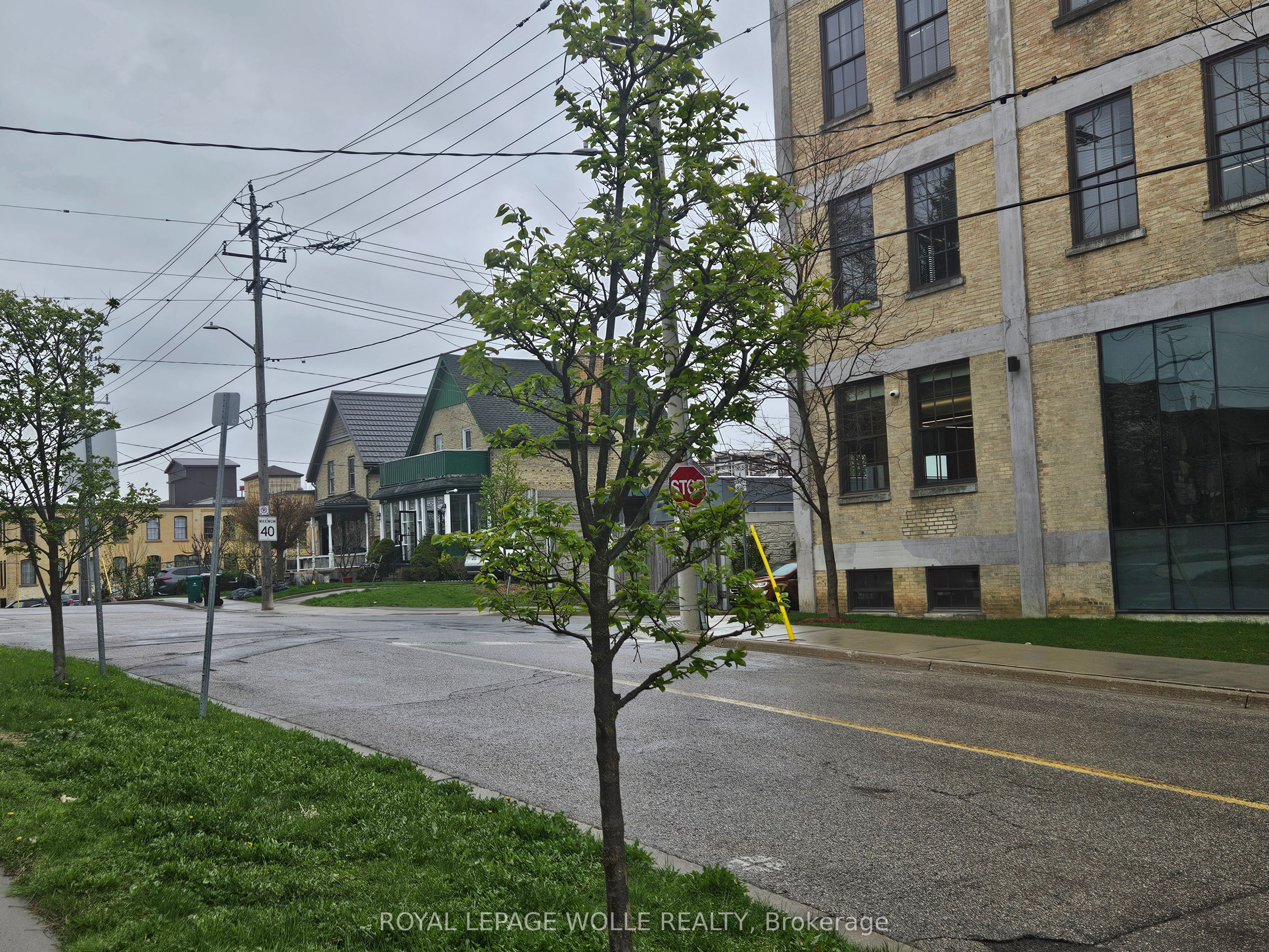 Main Property