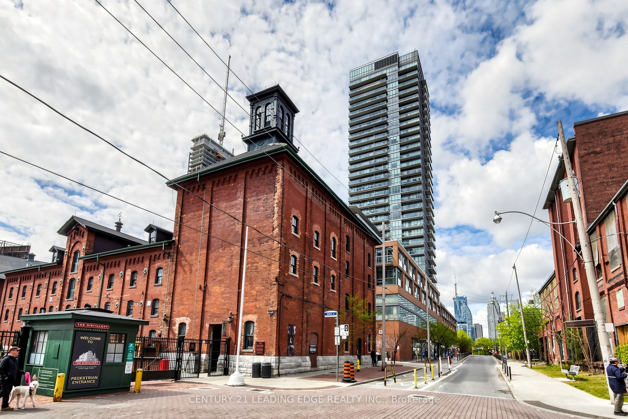 Main Property