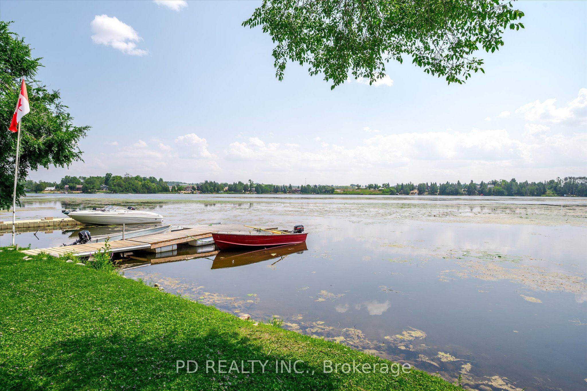 Listing 81405 Image