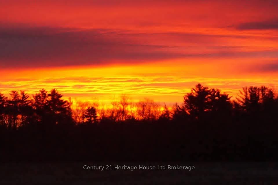 Listing 82839 Image