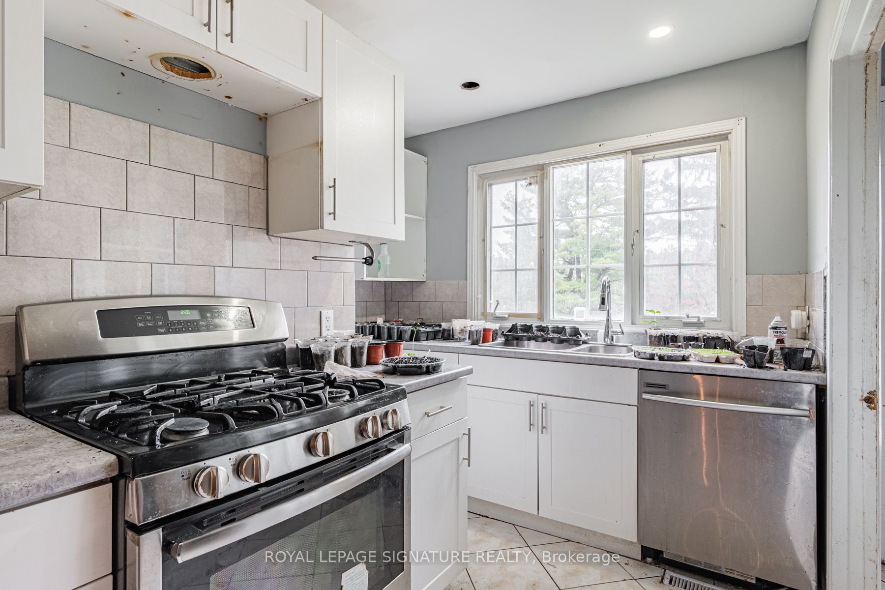 Listing 103074 Image