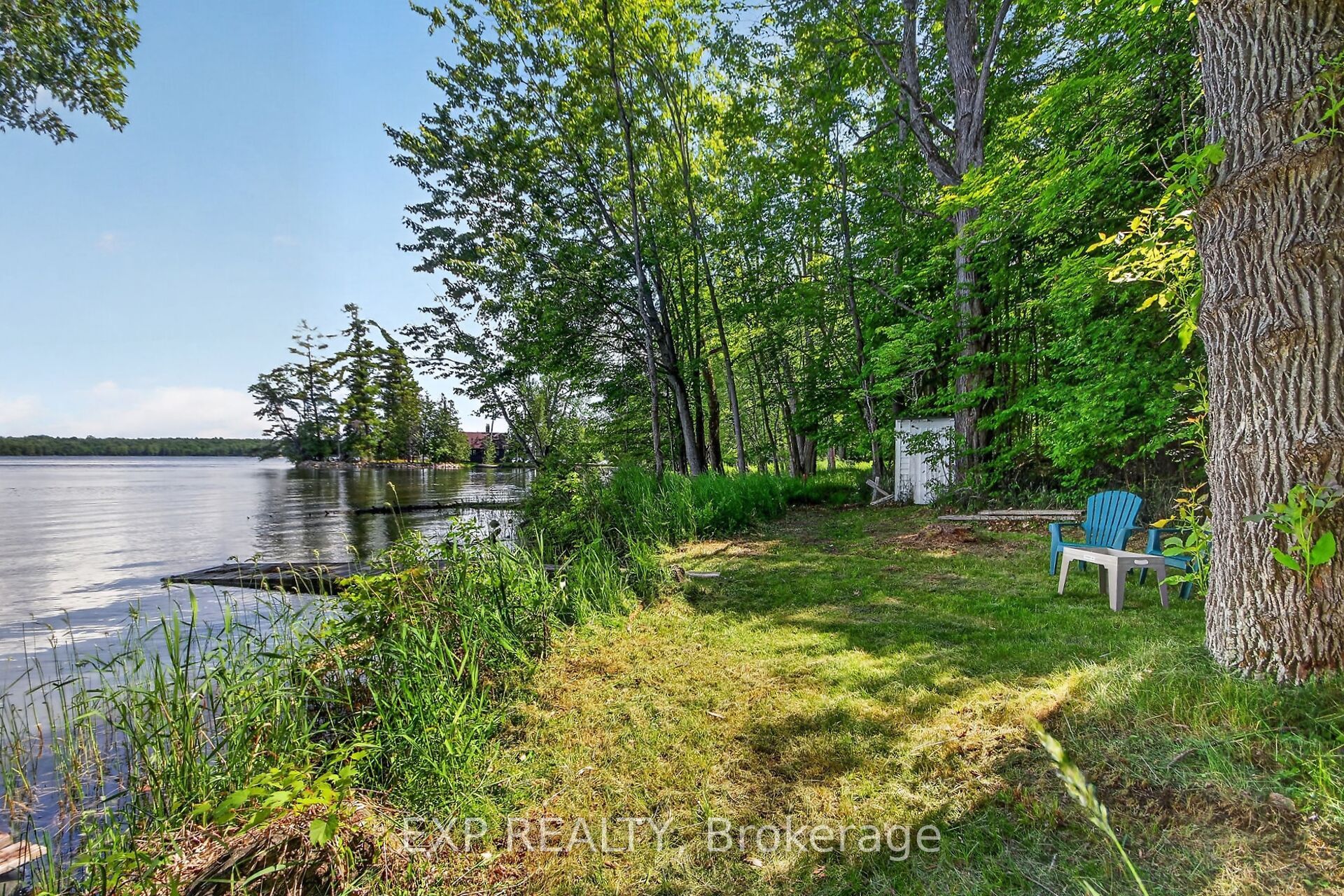 Listing 117174 Image