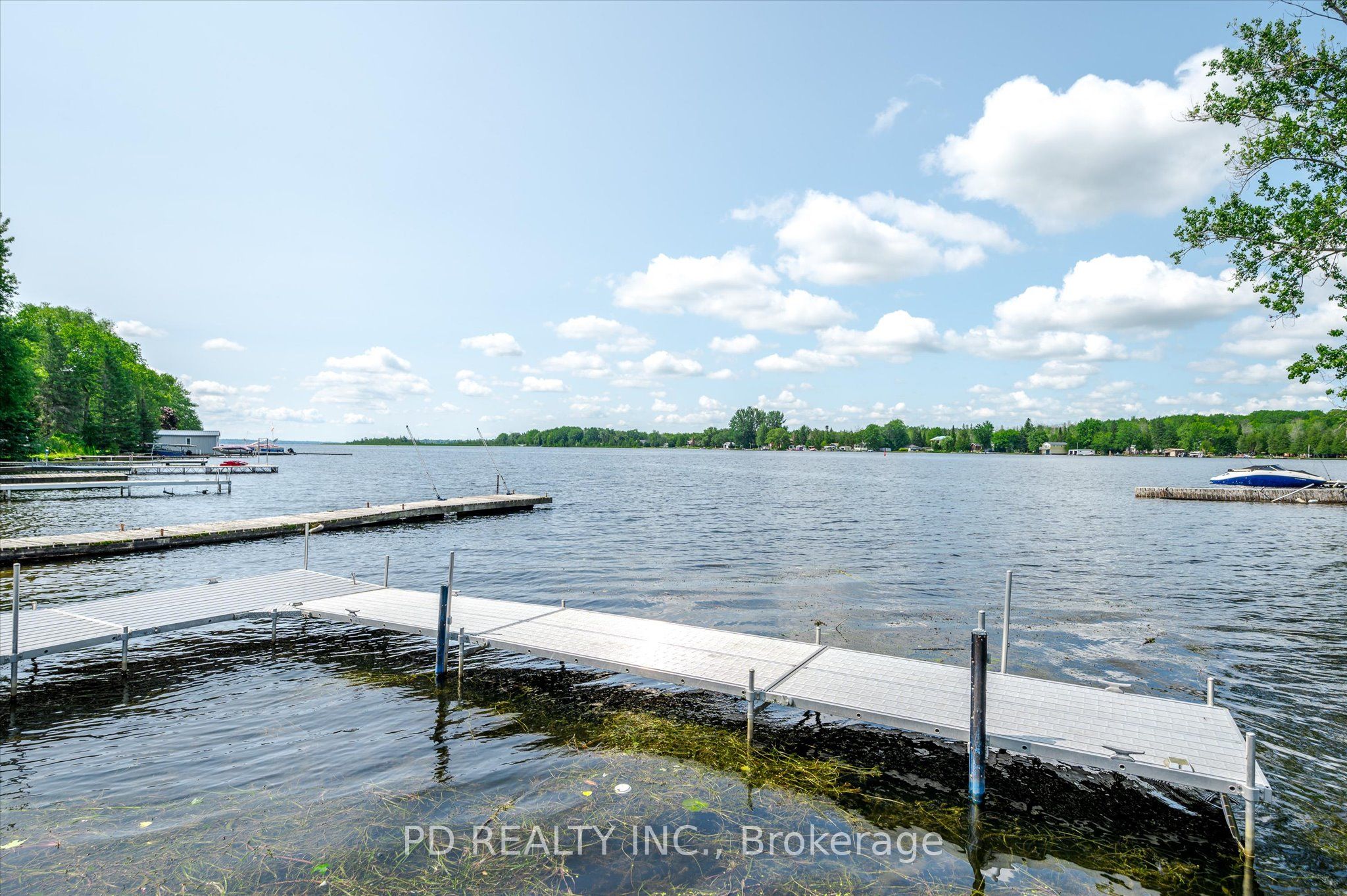 Listing 99447 Image