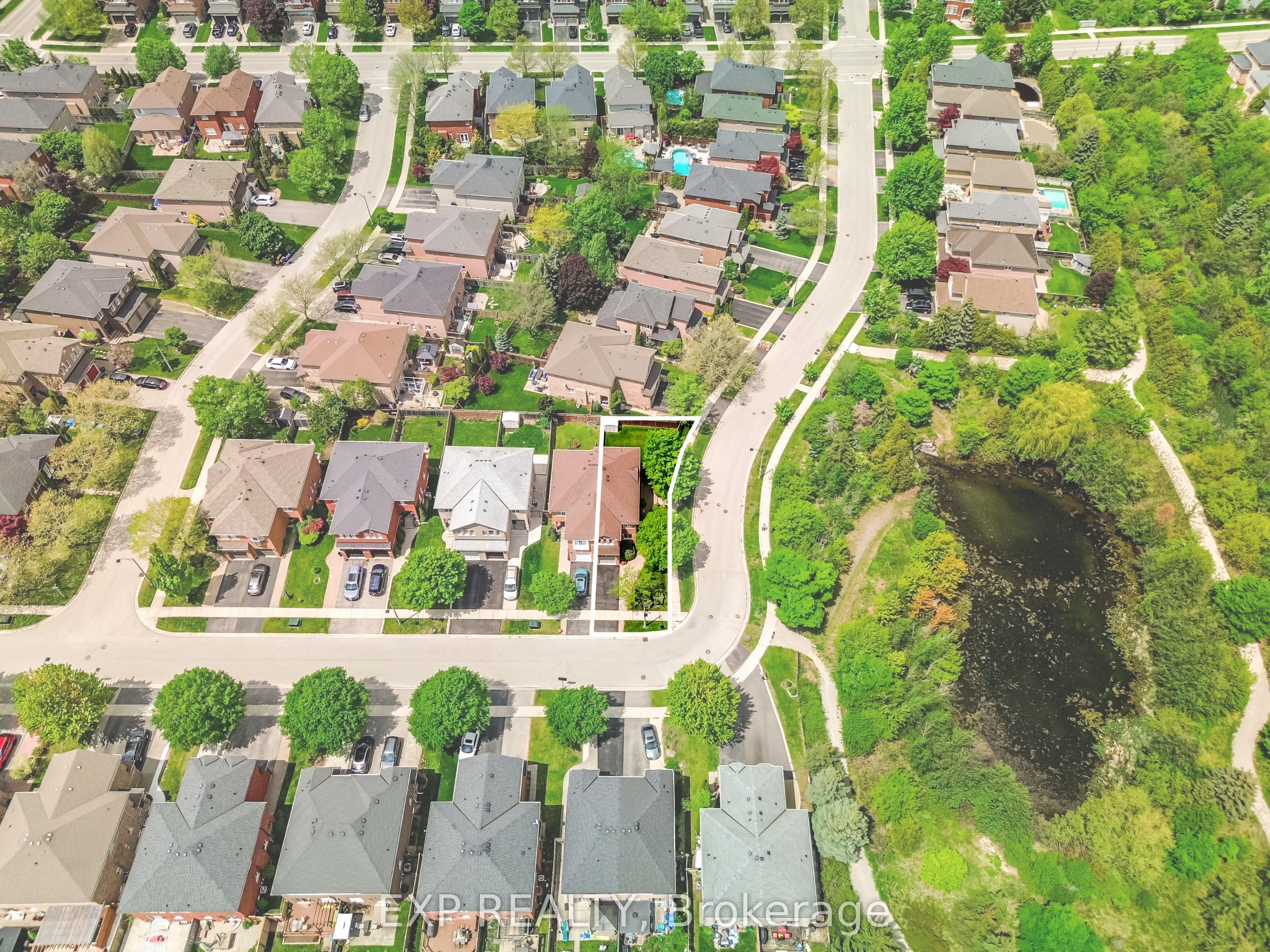 Main Property