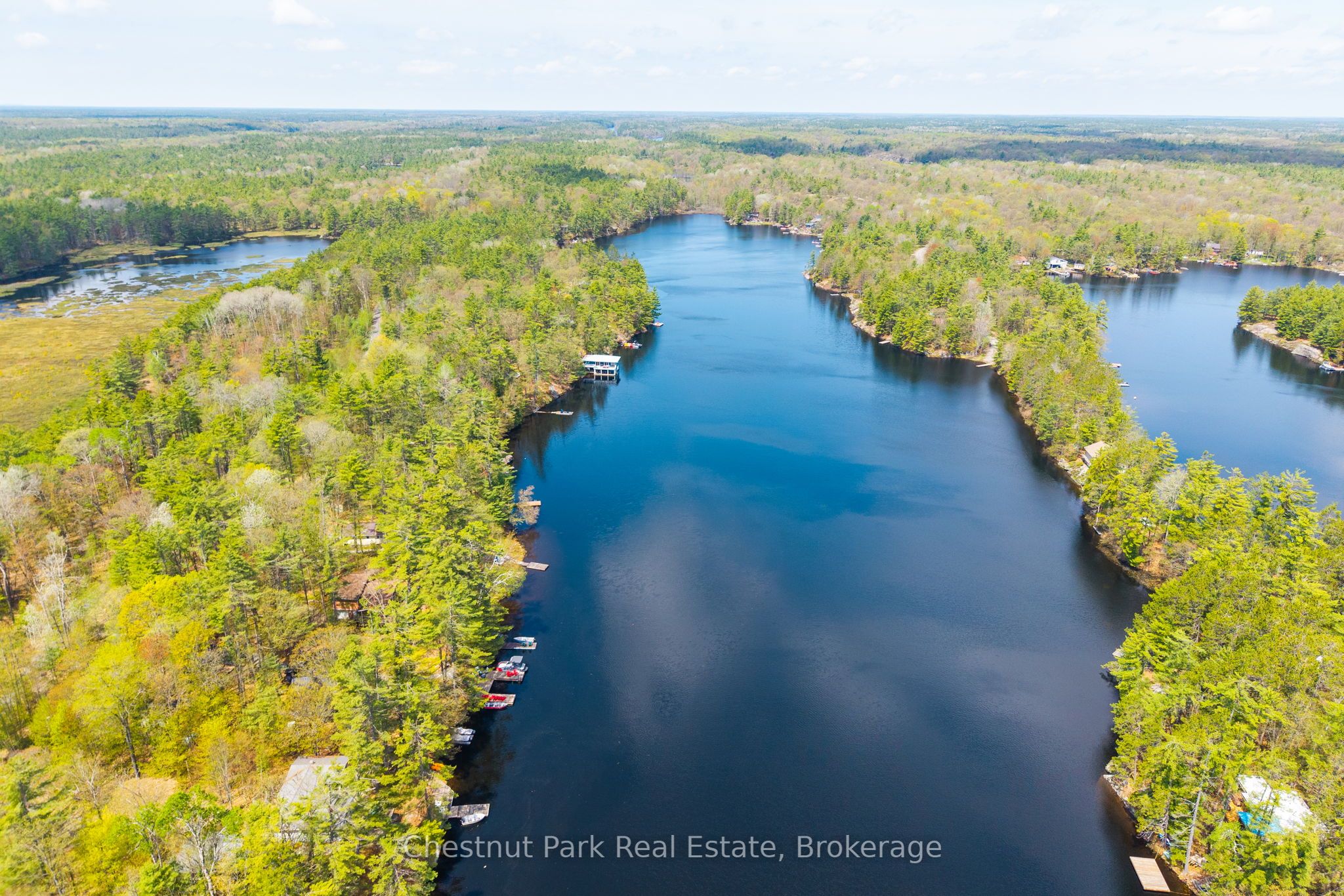 Listing 50177 Image