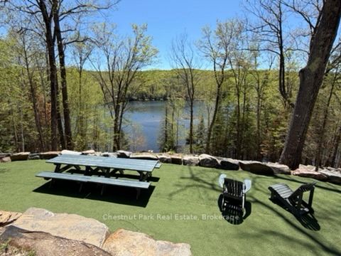 Listing 199476 Image