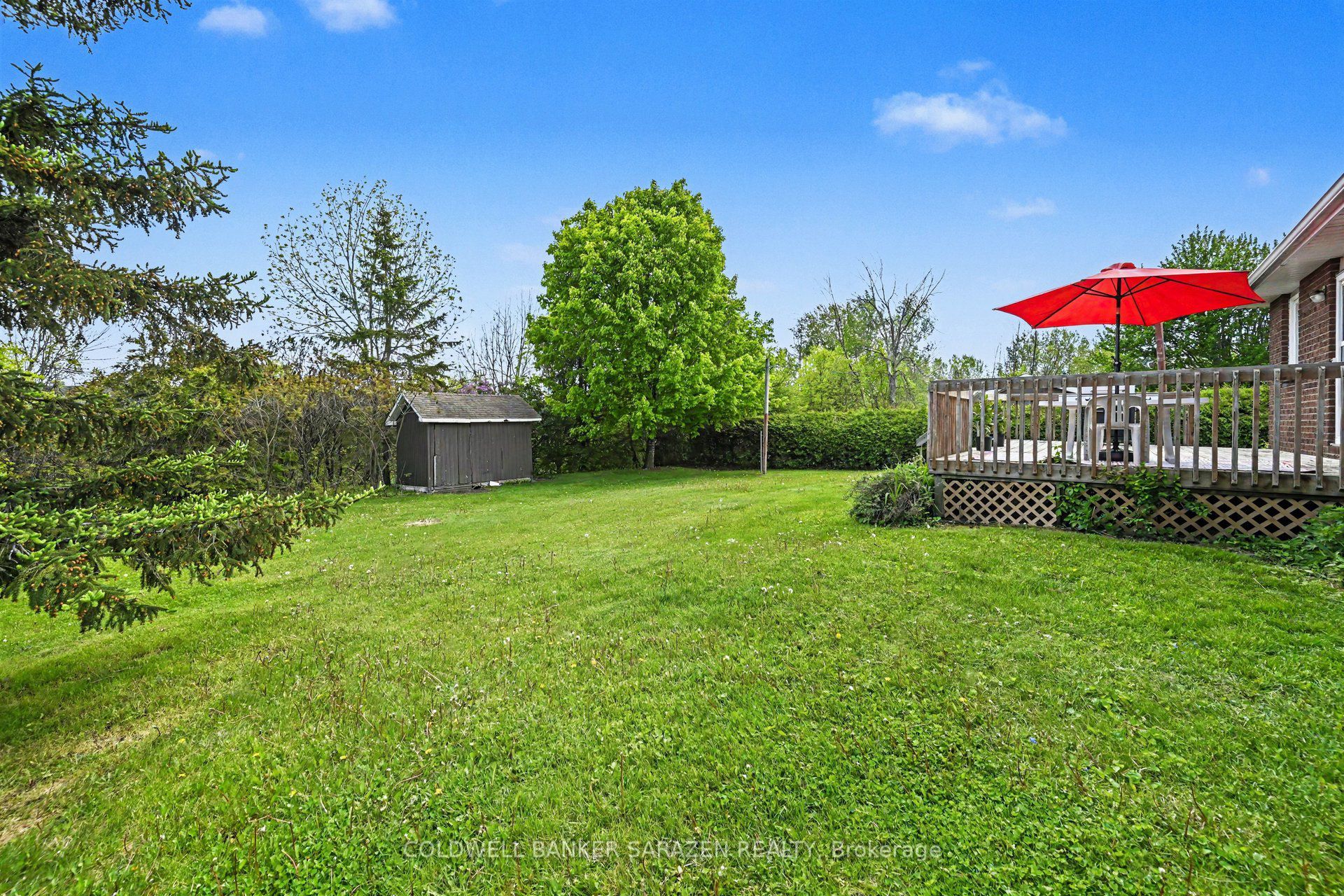Listing 41607 Image